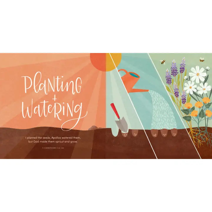 The Kingdom of Heaven | Board Book