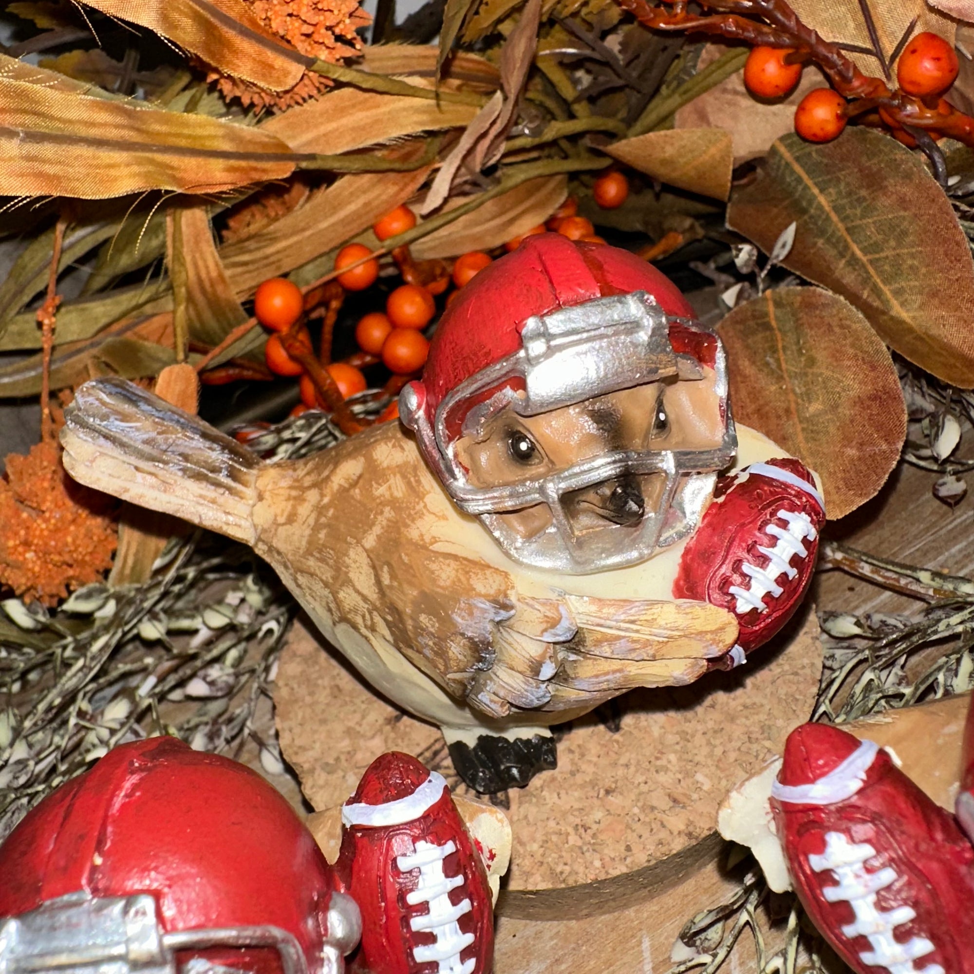 Harvest Bird Football Player