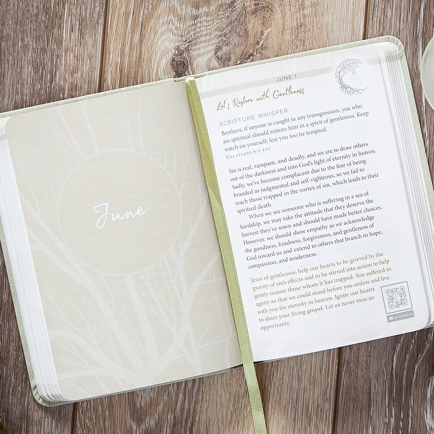 Pause + Pray | Devotional