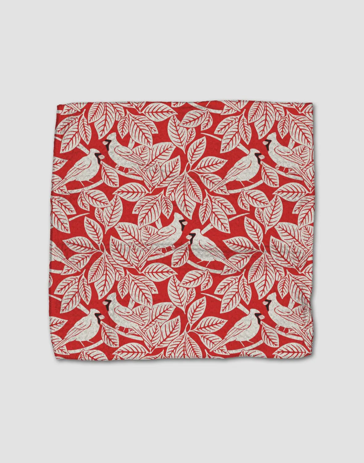 Geometry Kitchen Dishcloth | Cardinal Canopy