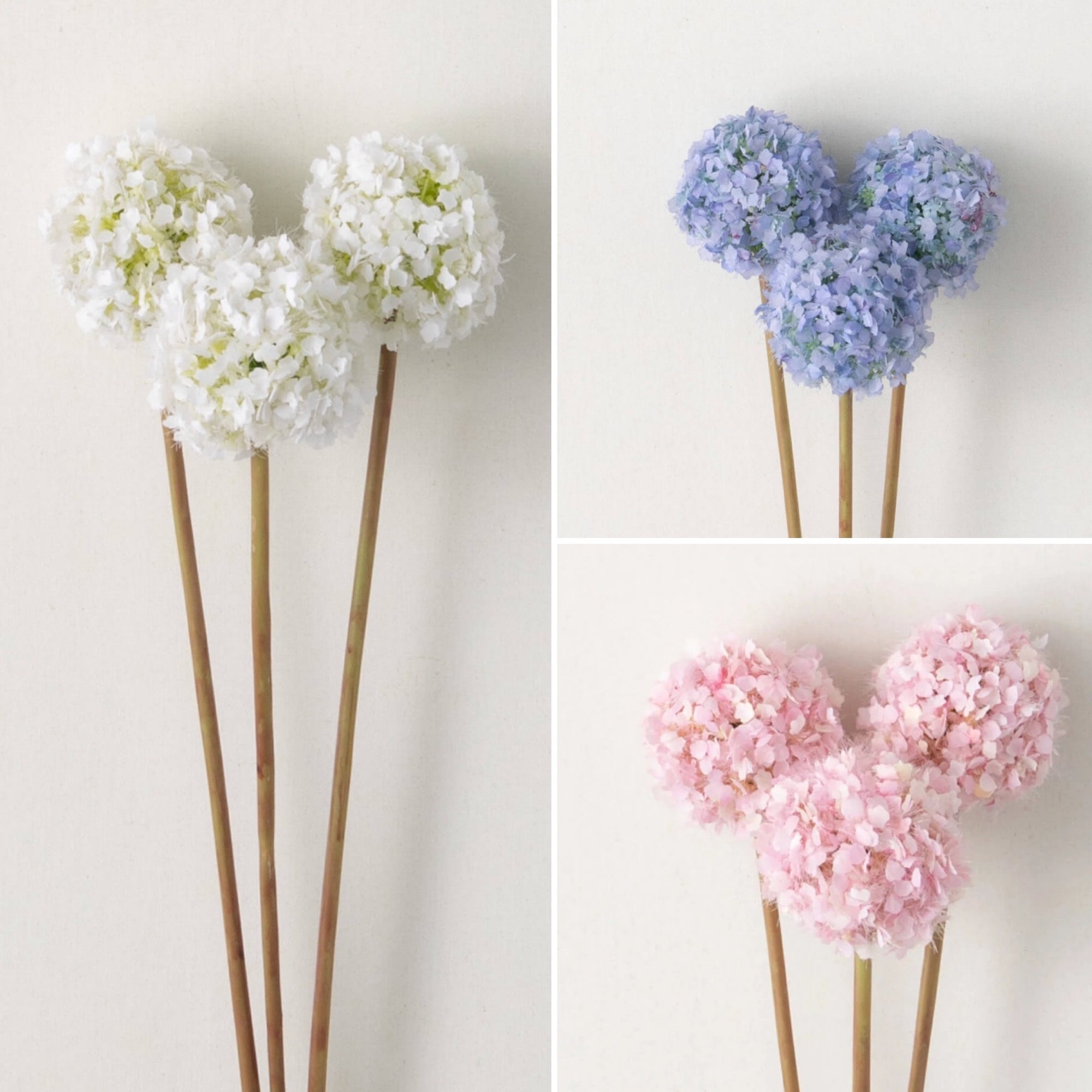 Allium Flower Bud Stem | Pink, White, Purple