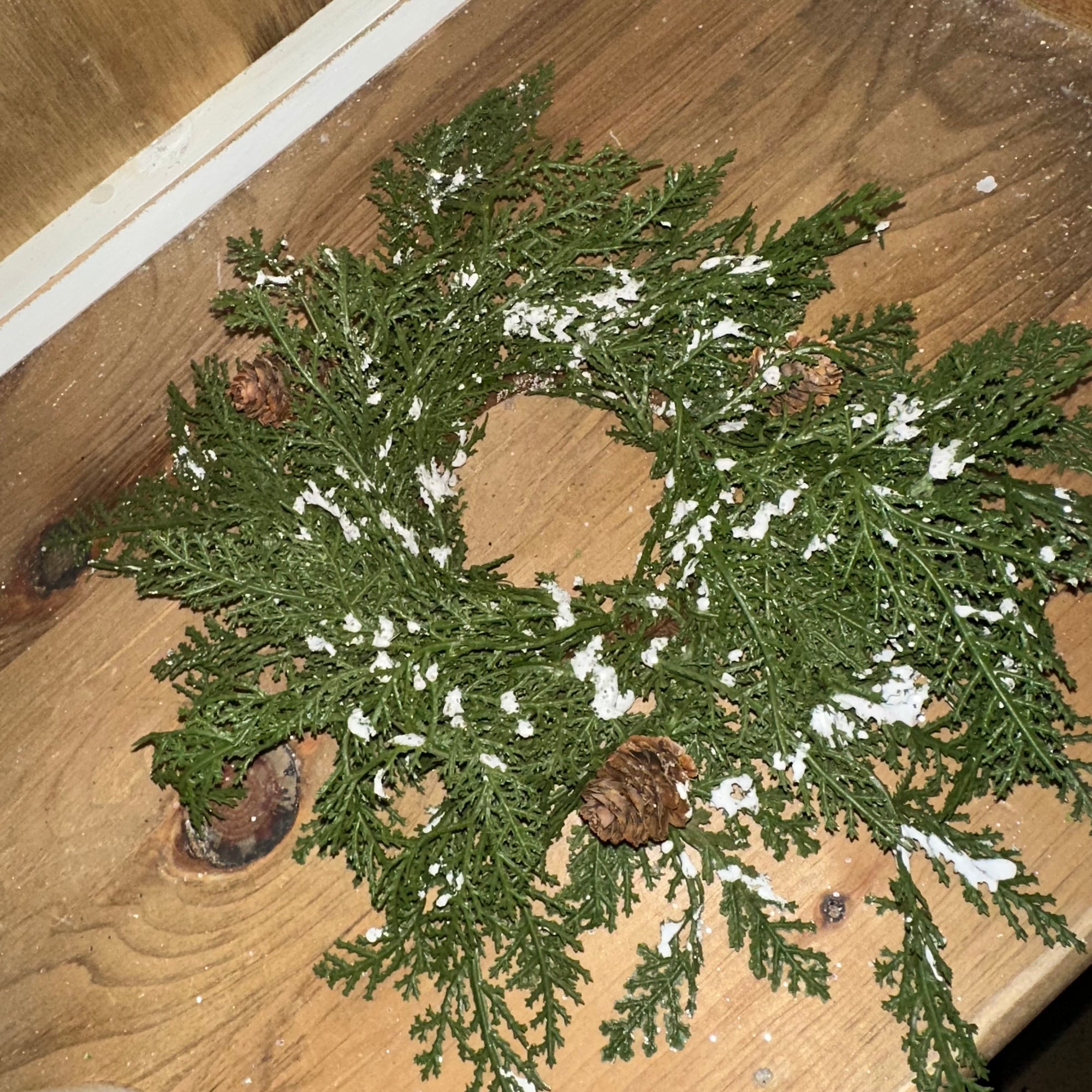 Snowy Cedar Pine Ring | Soft Touch