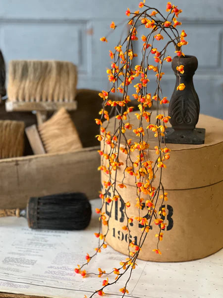 Briery Bittersweet Hanging Vine | 27"