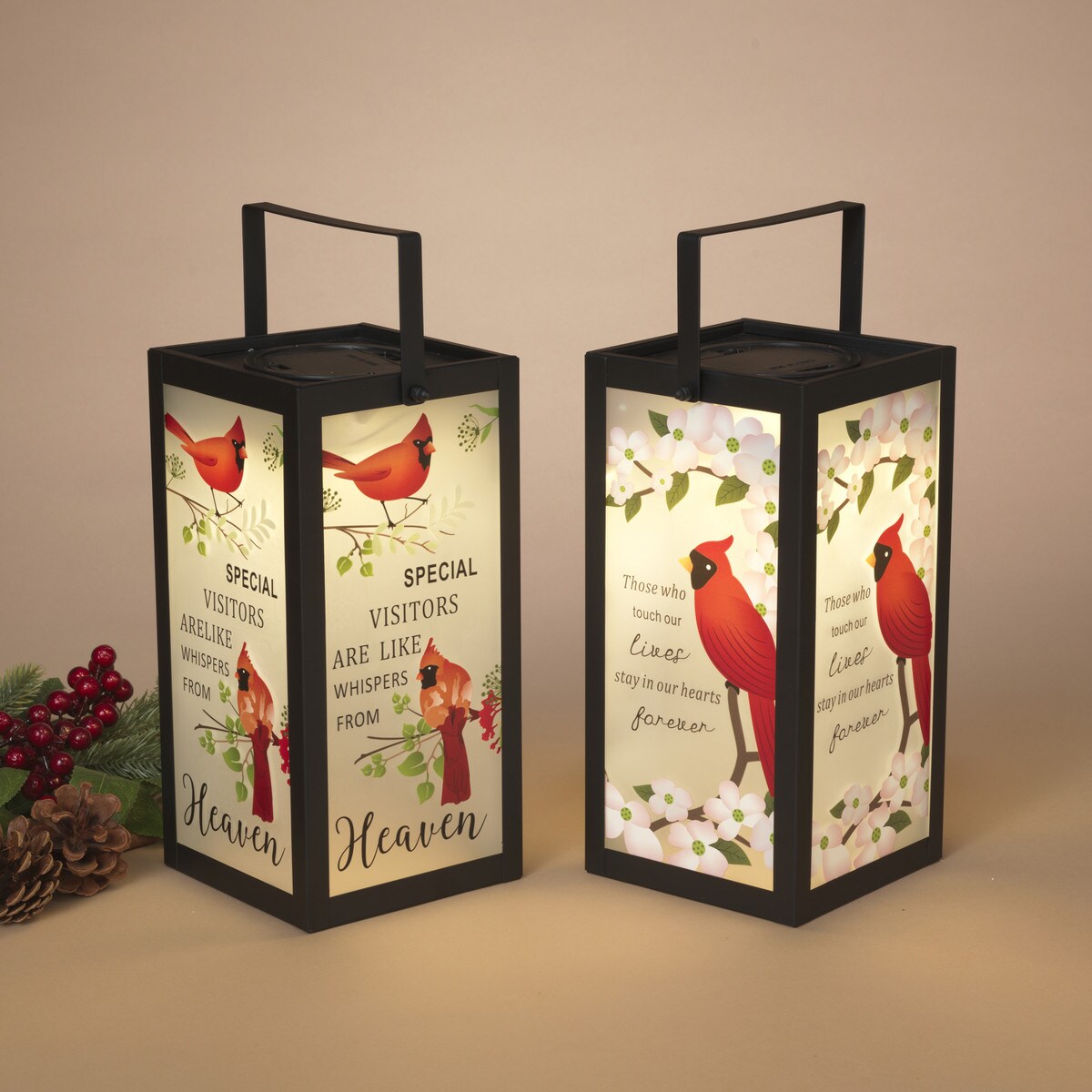Cardinal Lantern | Battery Operated
