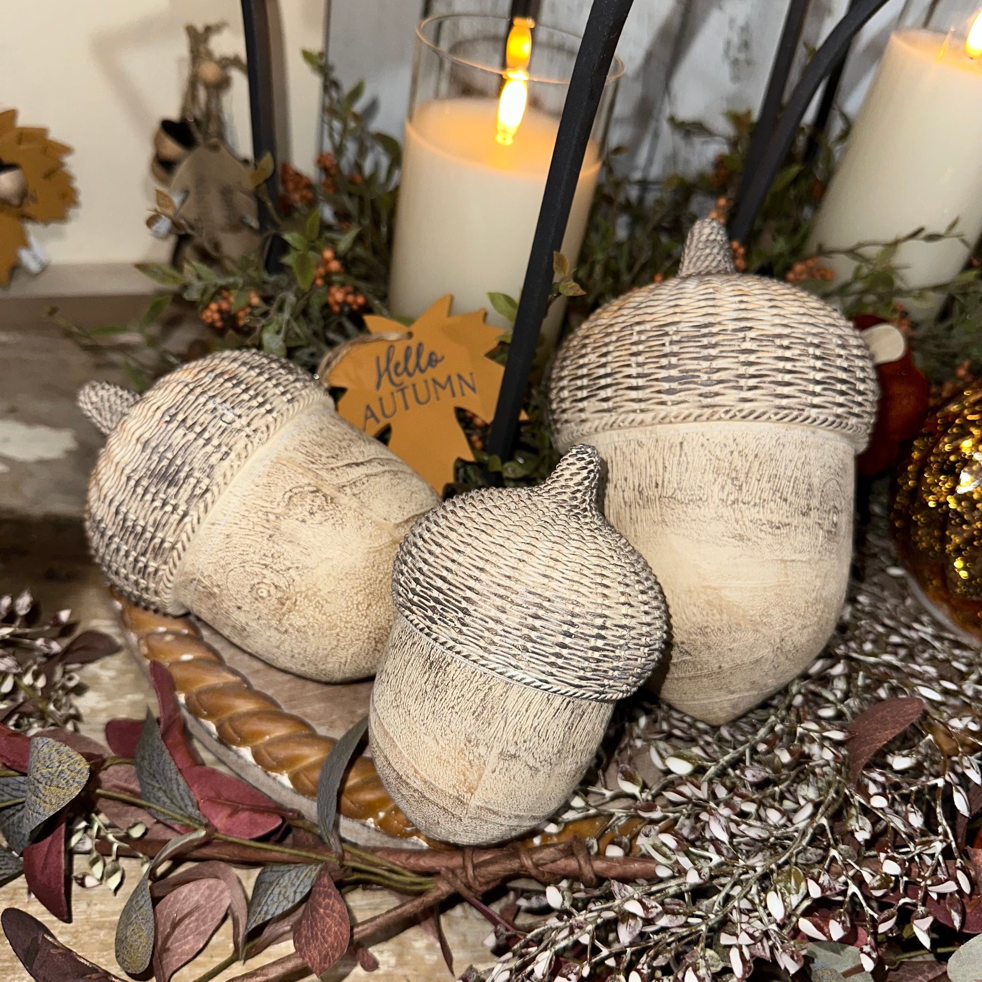 Acorn Sitter | Woven Top