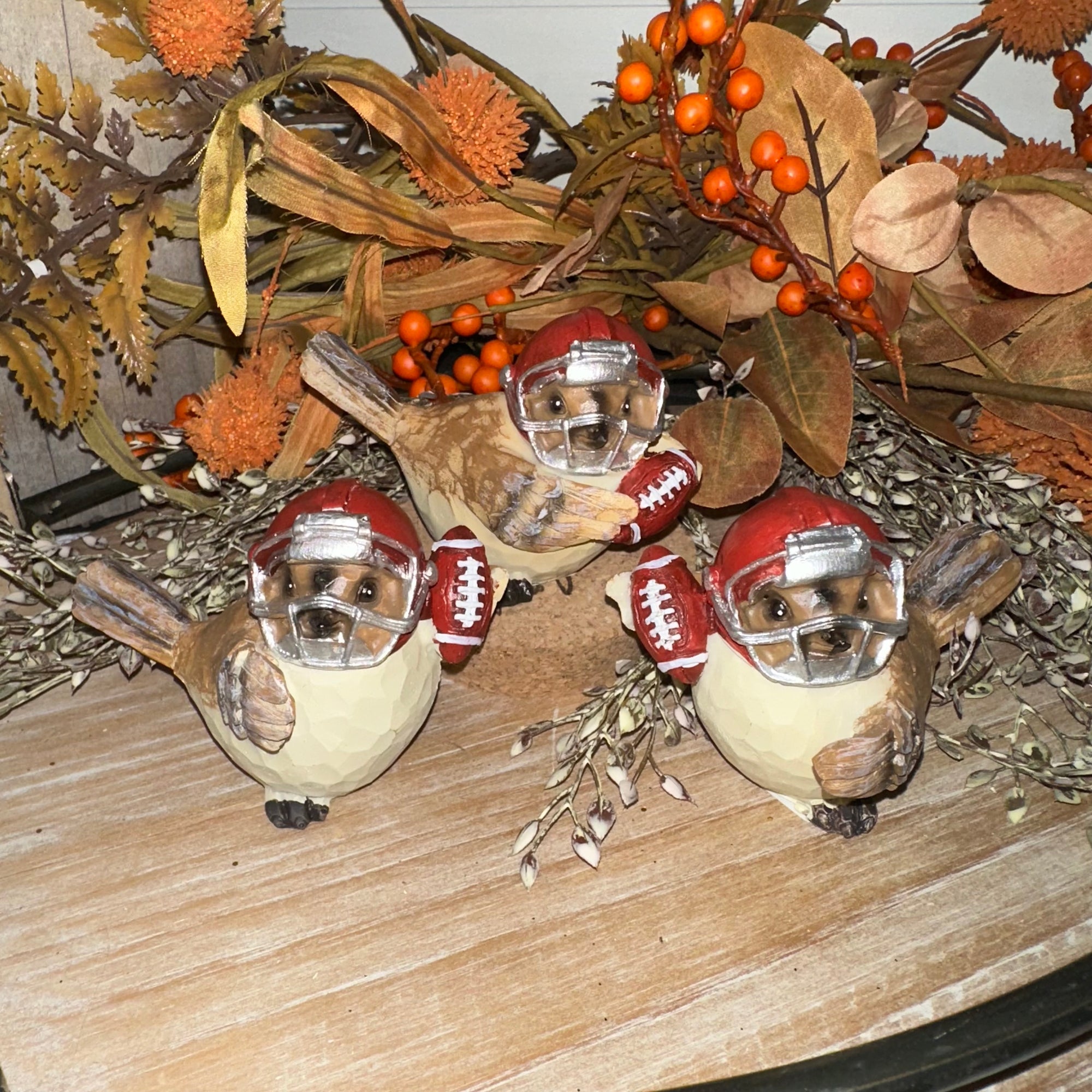 Harvest Bird Football Player