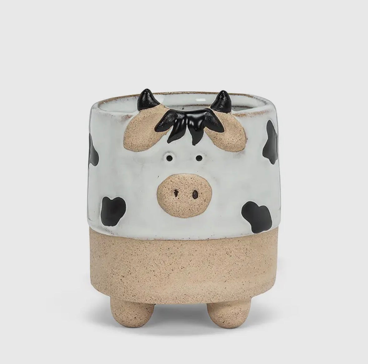 Animal Planter | Cow, Sheep, Turtle