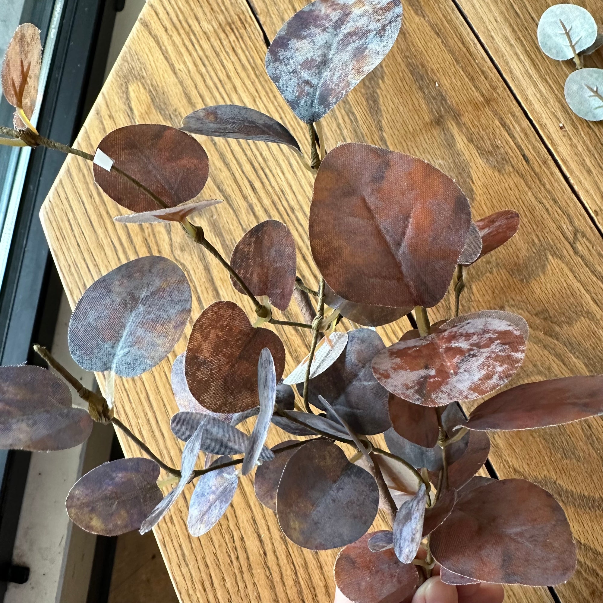 Autumn Eucalyptus Spray