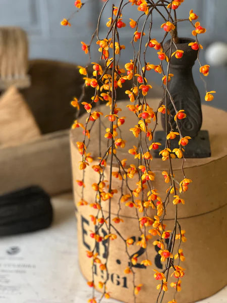 Briery Bittersweet Hanging Vine | 27"