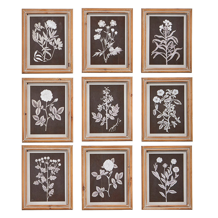Botanical Floral Framed Print | 10"