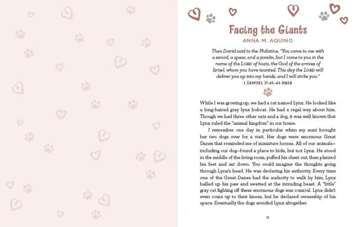 Devotions for Cat Lovers | Devotional