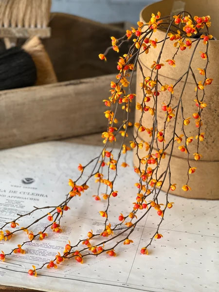 Briery Bittersweet Hanging Vine | 27"
