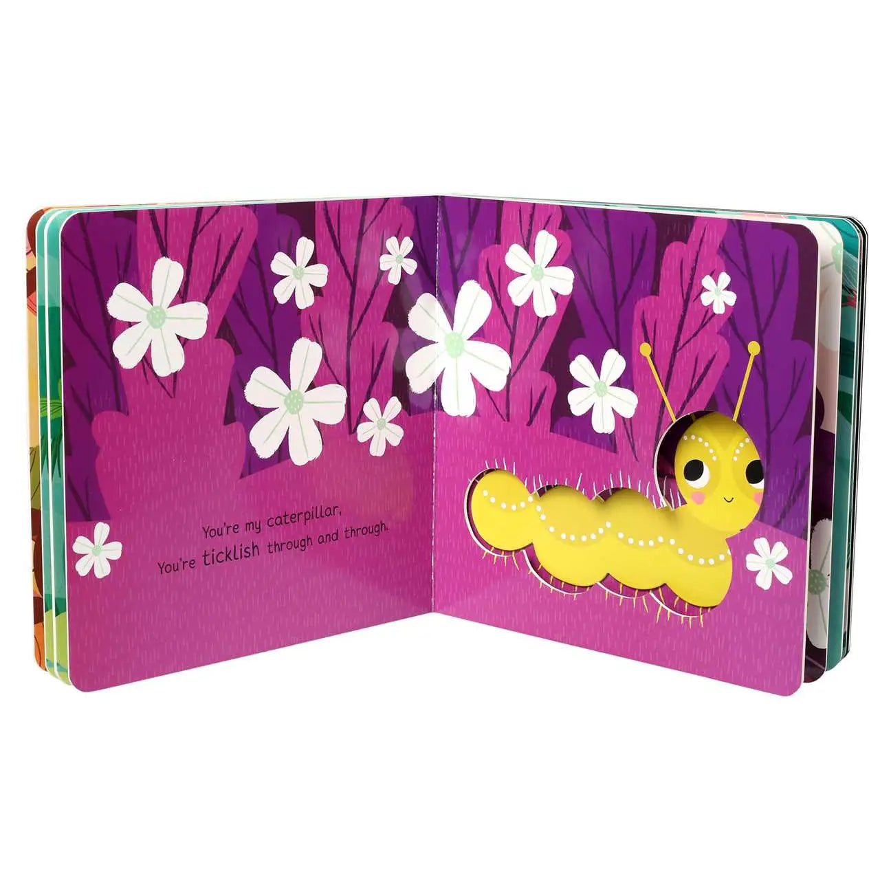 You're My Little Cuddle Bug | Board Book