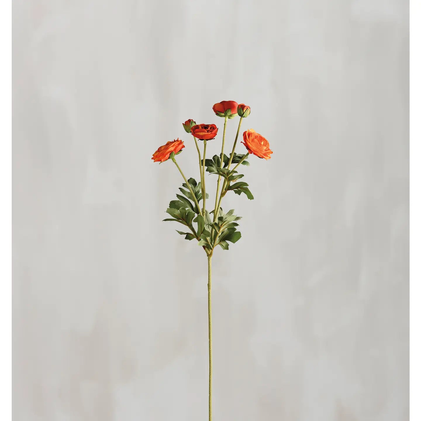 Orange Ranunculus Floral Pick