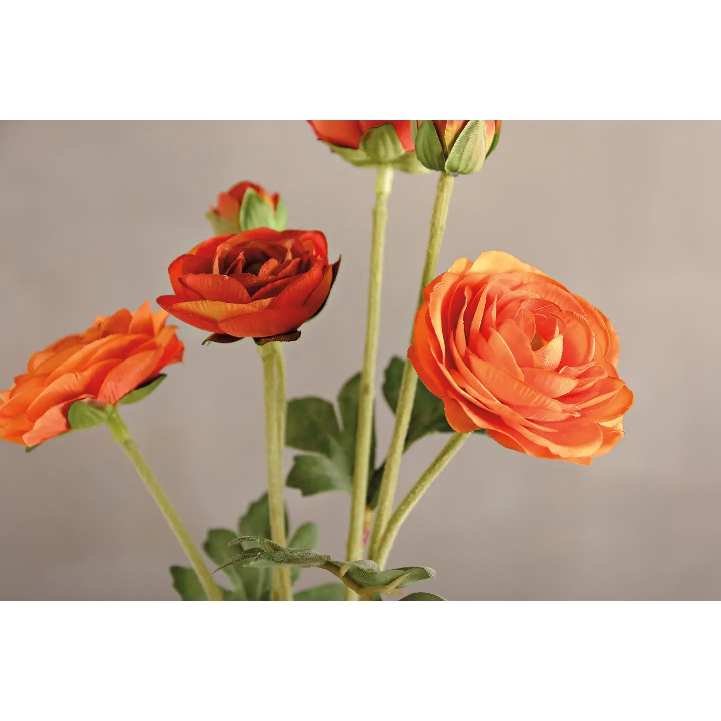 Orange Ranunculus Floral Pick