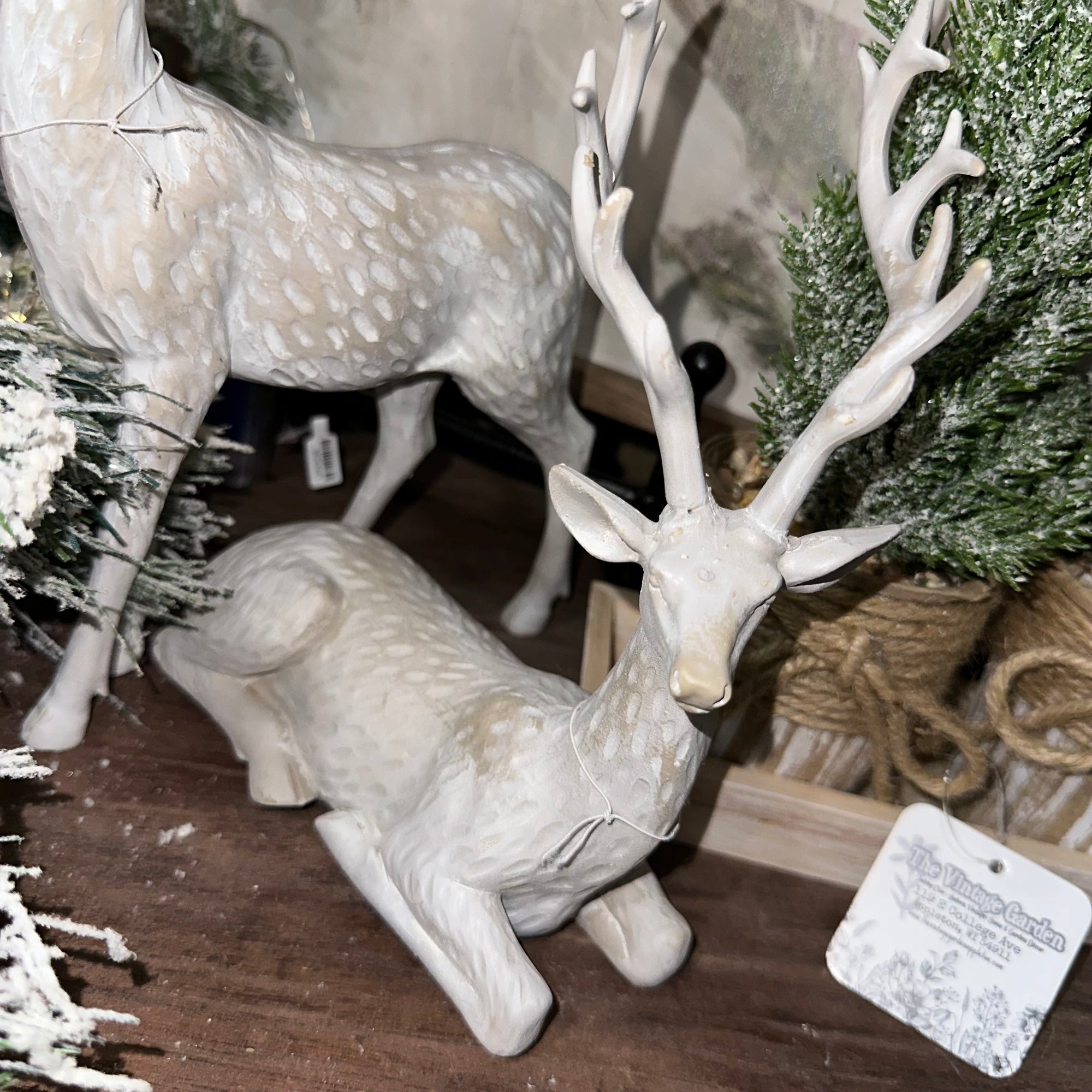 Winter Deer | Whitewashed
