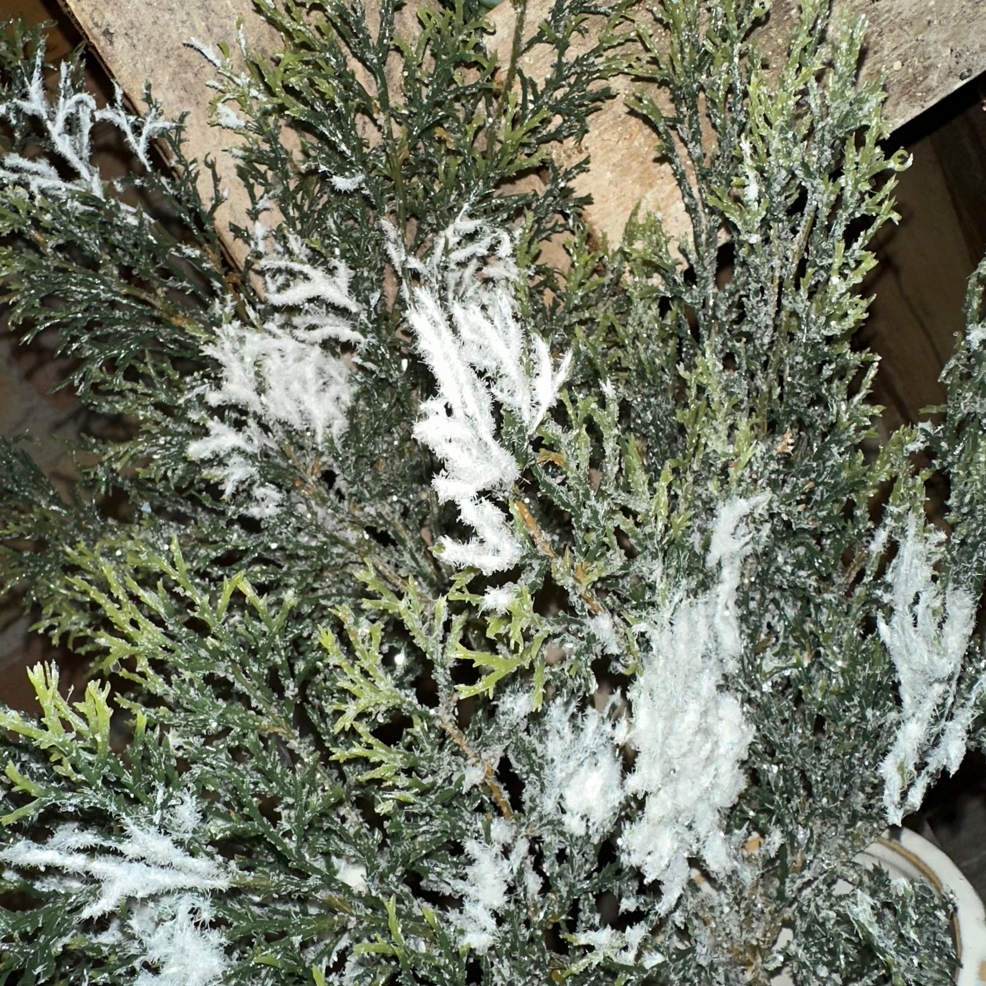 Snowy Cedar Spray