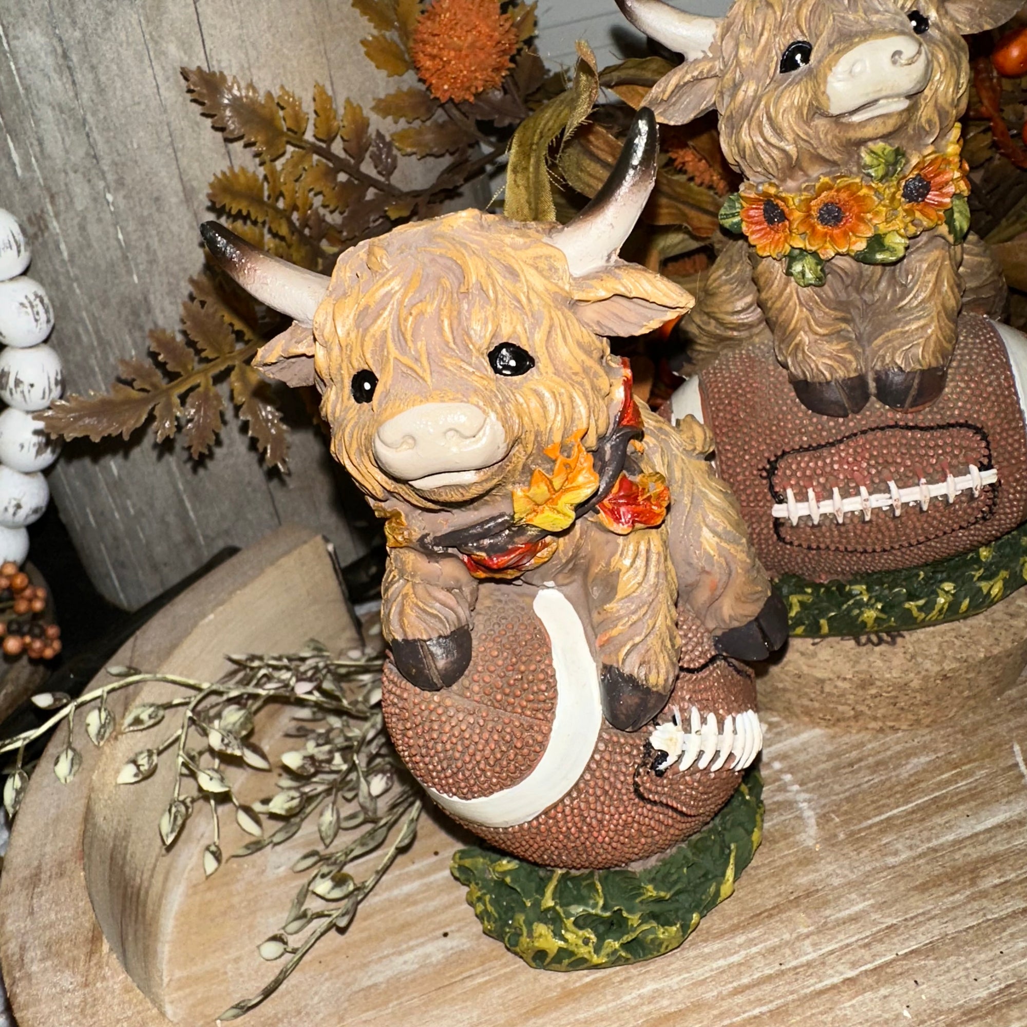 Harvest Highland Cow on Football