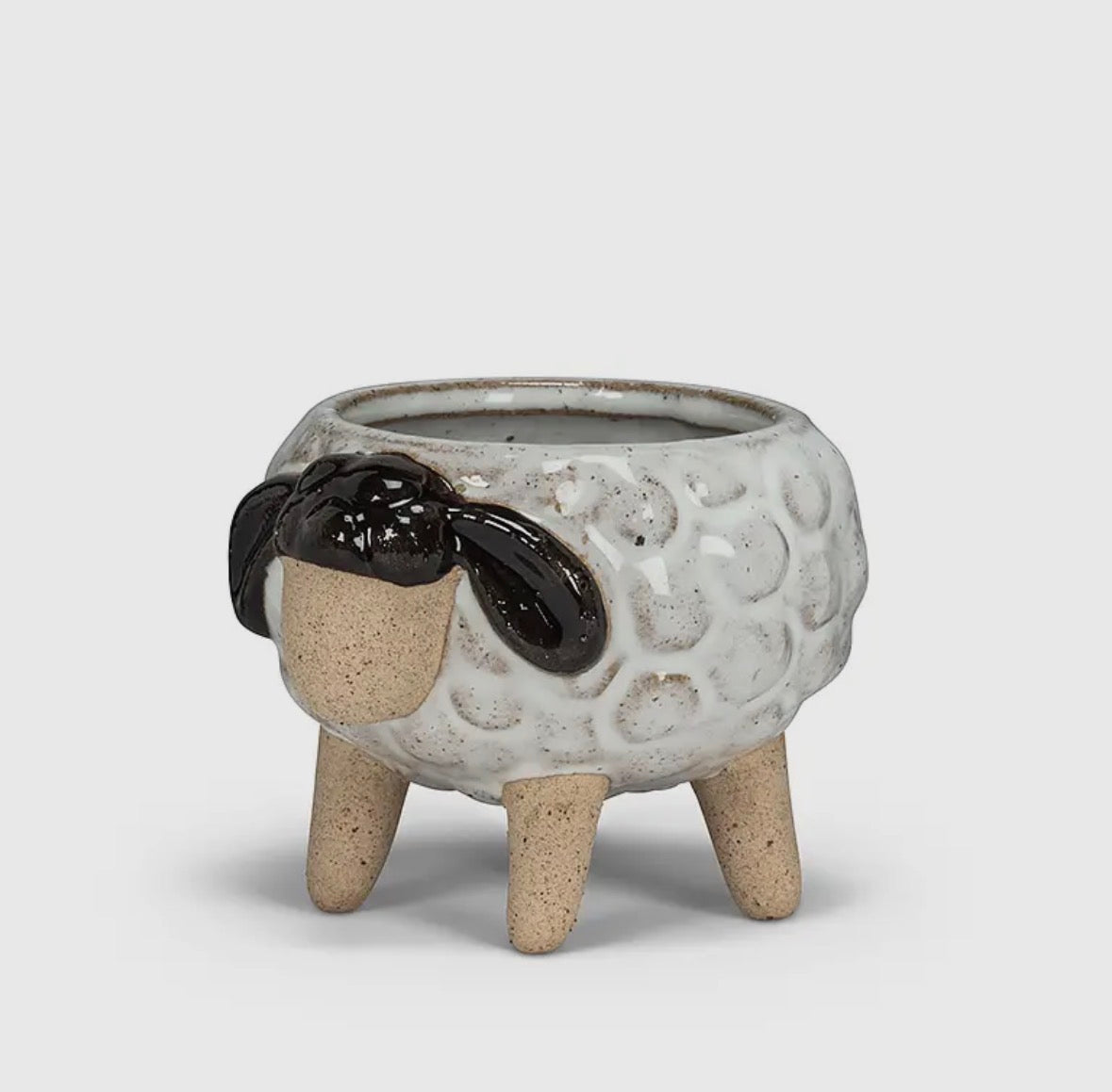 Animal Planter | Cow, Sheep, Turtle