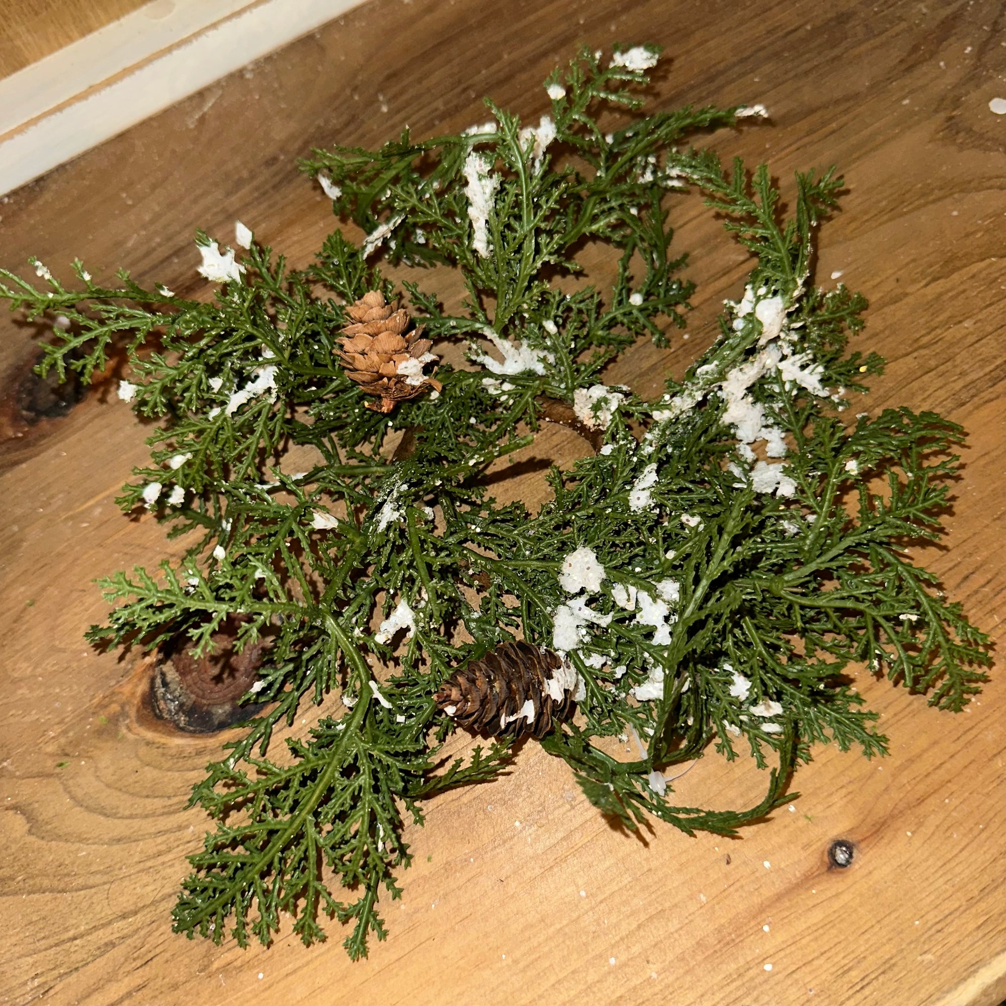 Snowy Cedar Pine Ring | Soft Touch