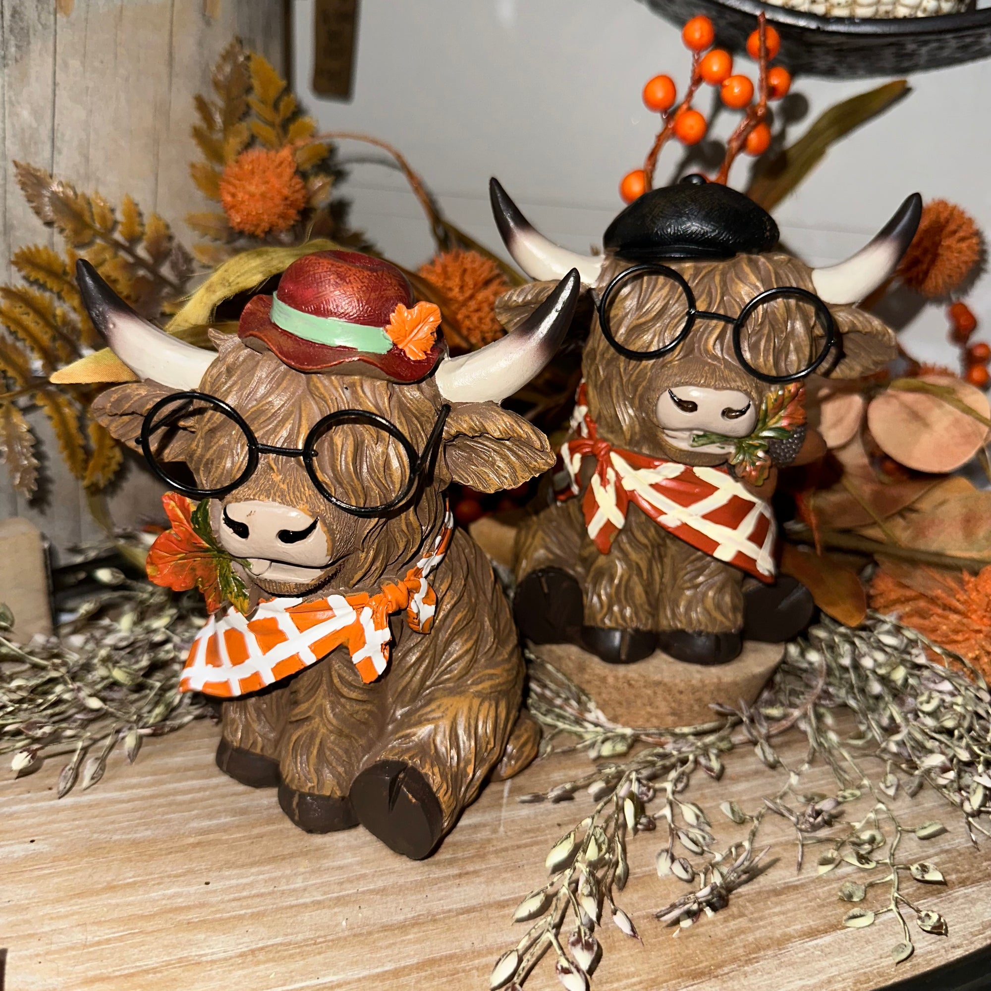 Harvest Highland Cow with Glasses