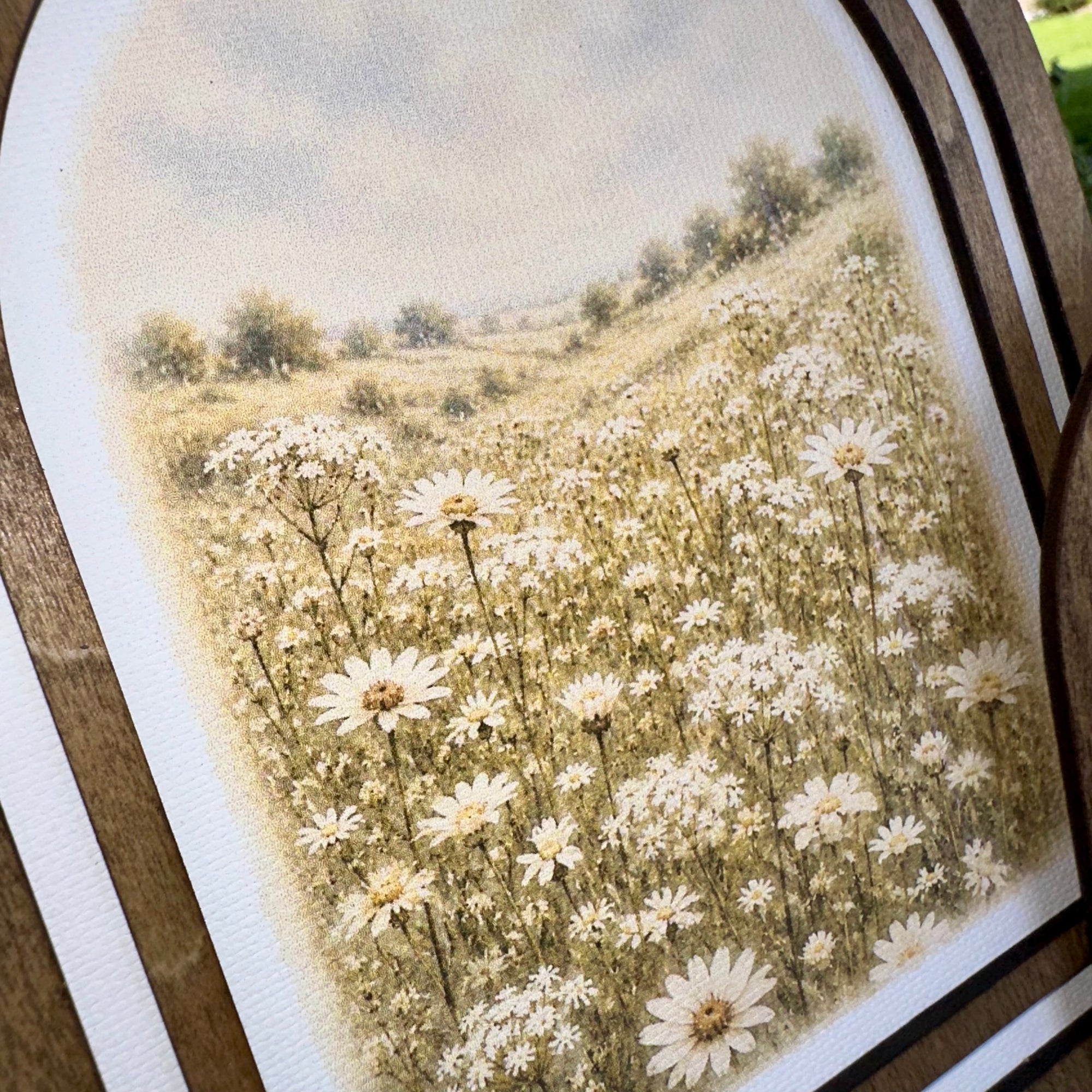 Daisy Meadow | Coordinating Set