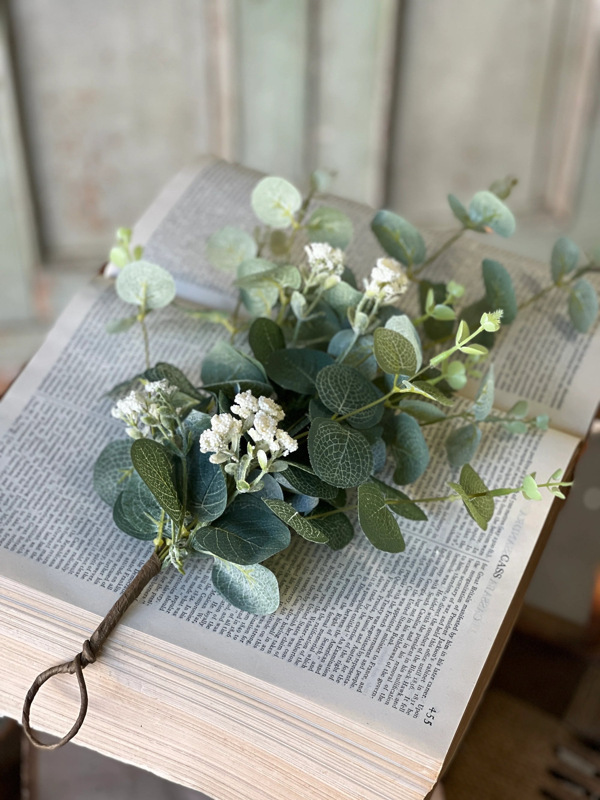 Sweet Seed Eucalyptus Bush | 13"