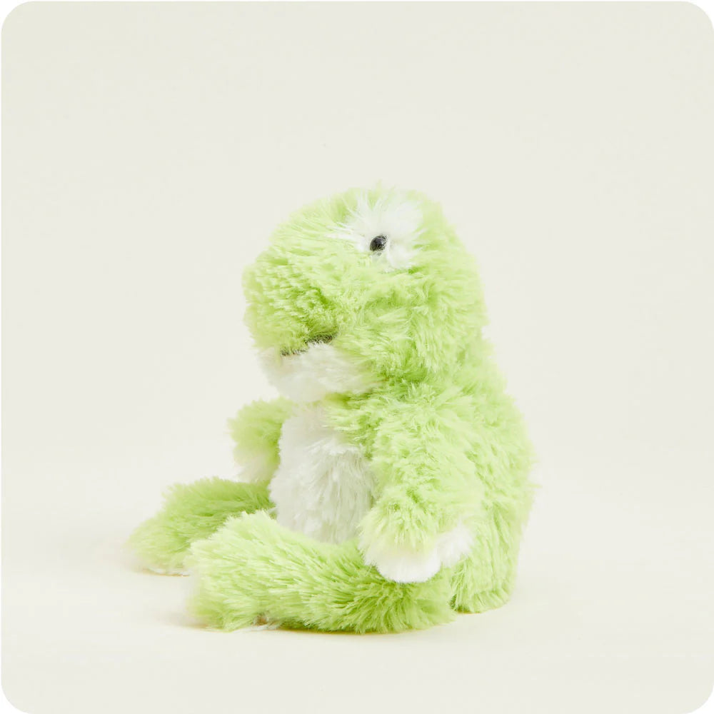 Frog | Junior | Warmies® Cozy Plush