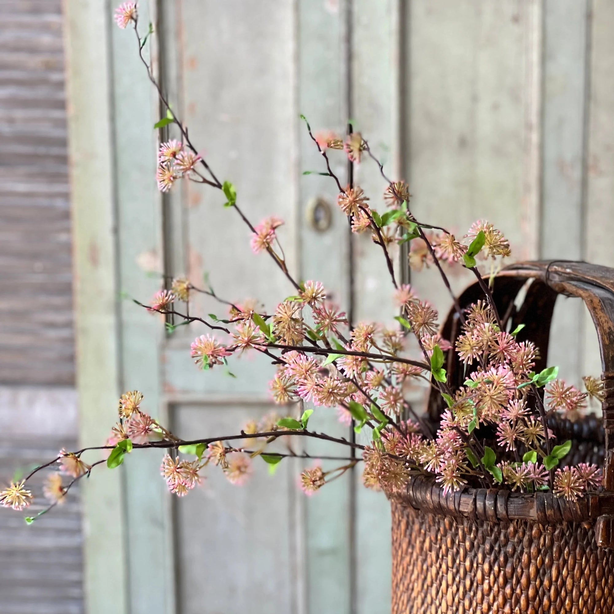 Starflower Blooms | Dusty Pink