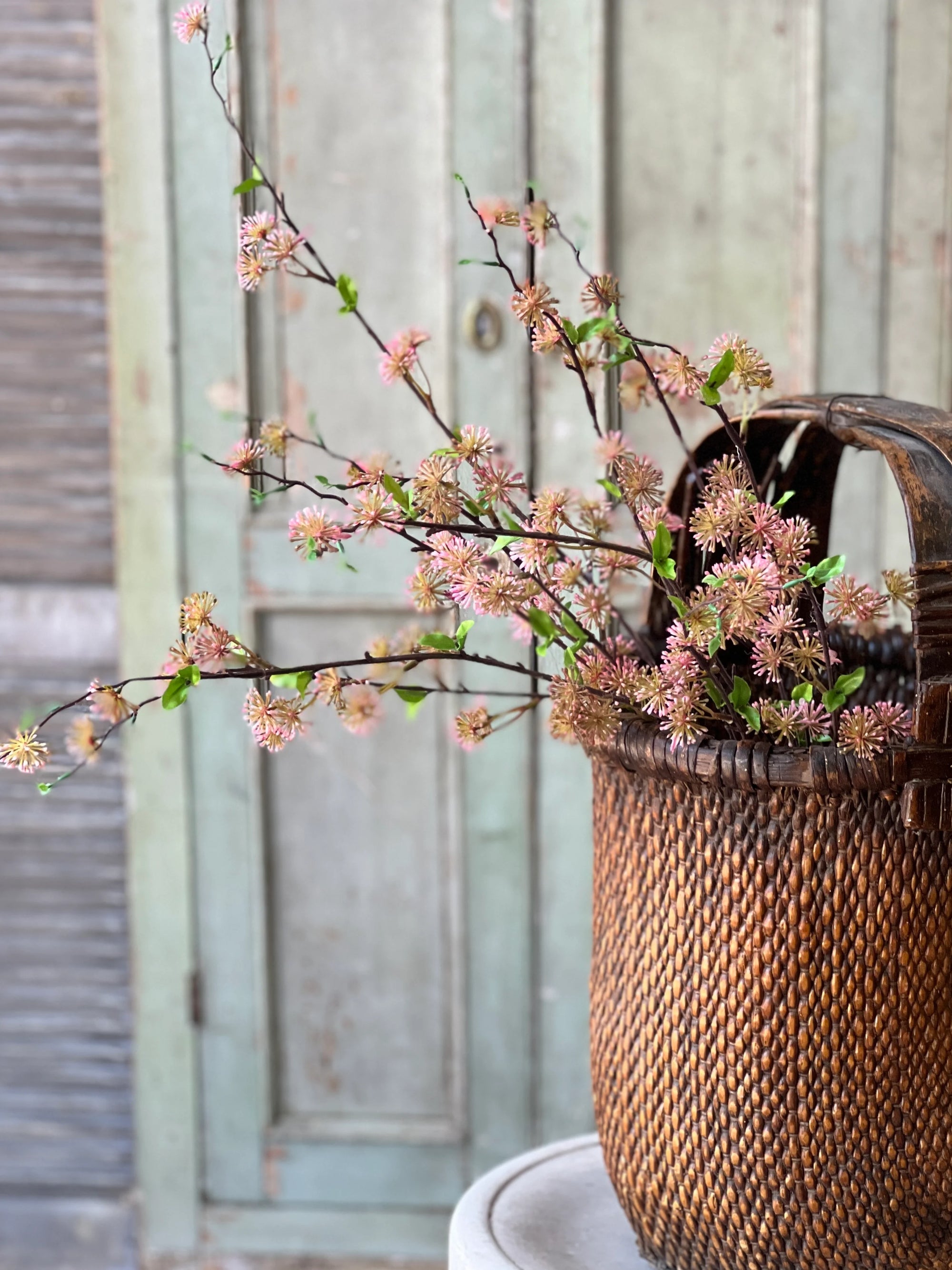 Starflower Blooms | Dusty Pink