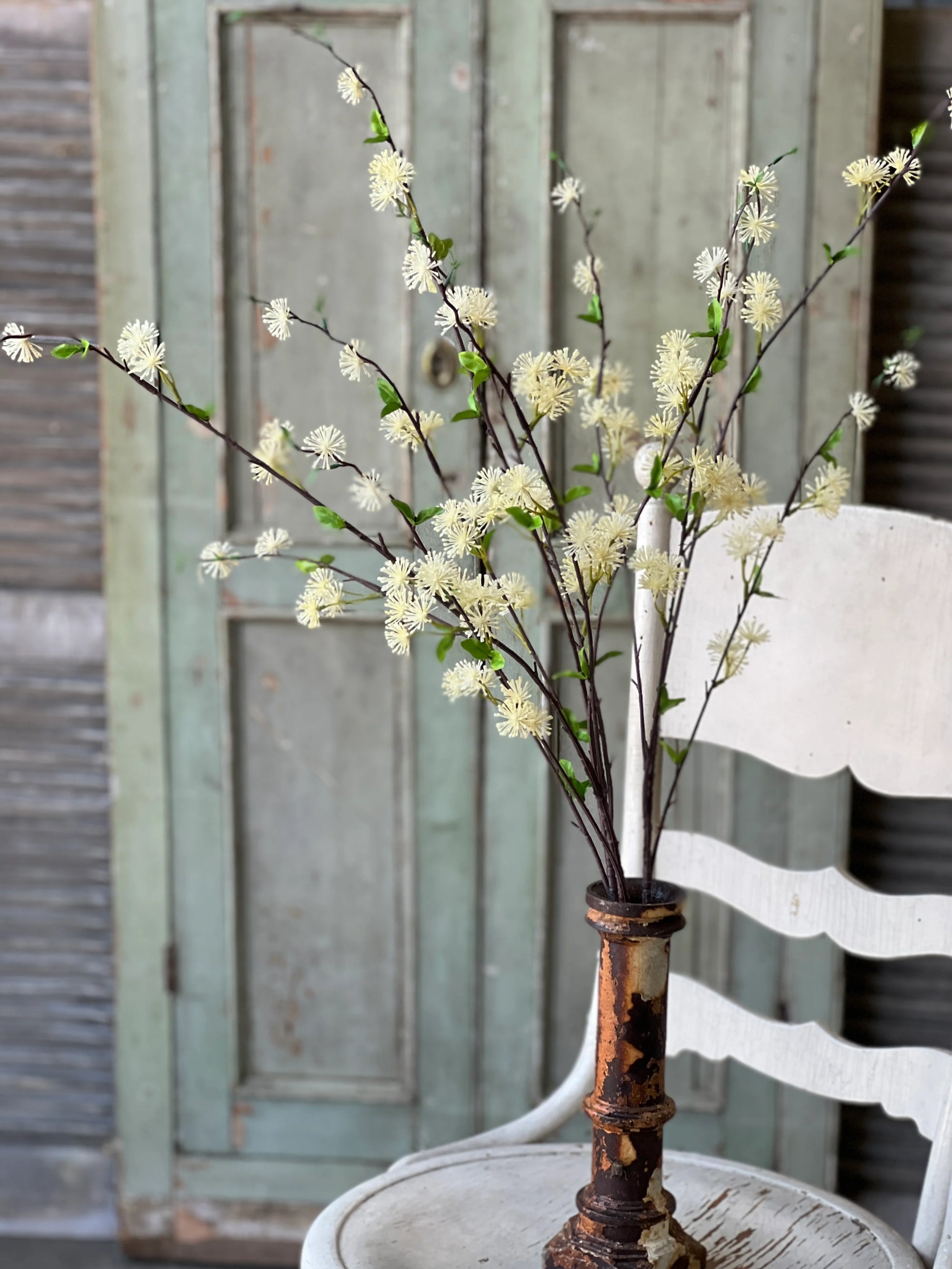 Starflower Blooms | Cream