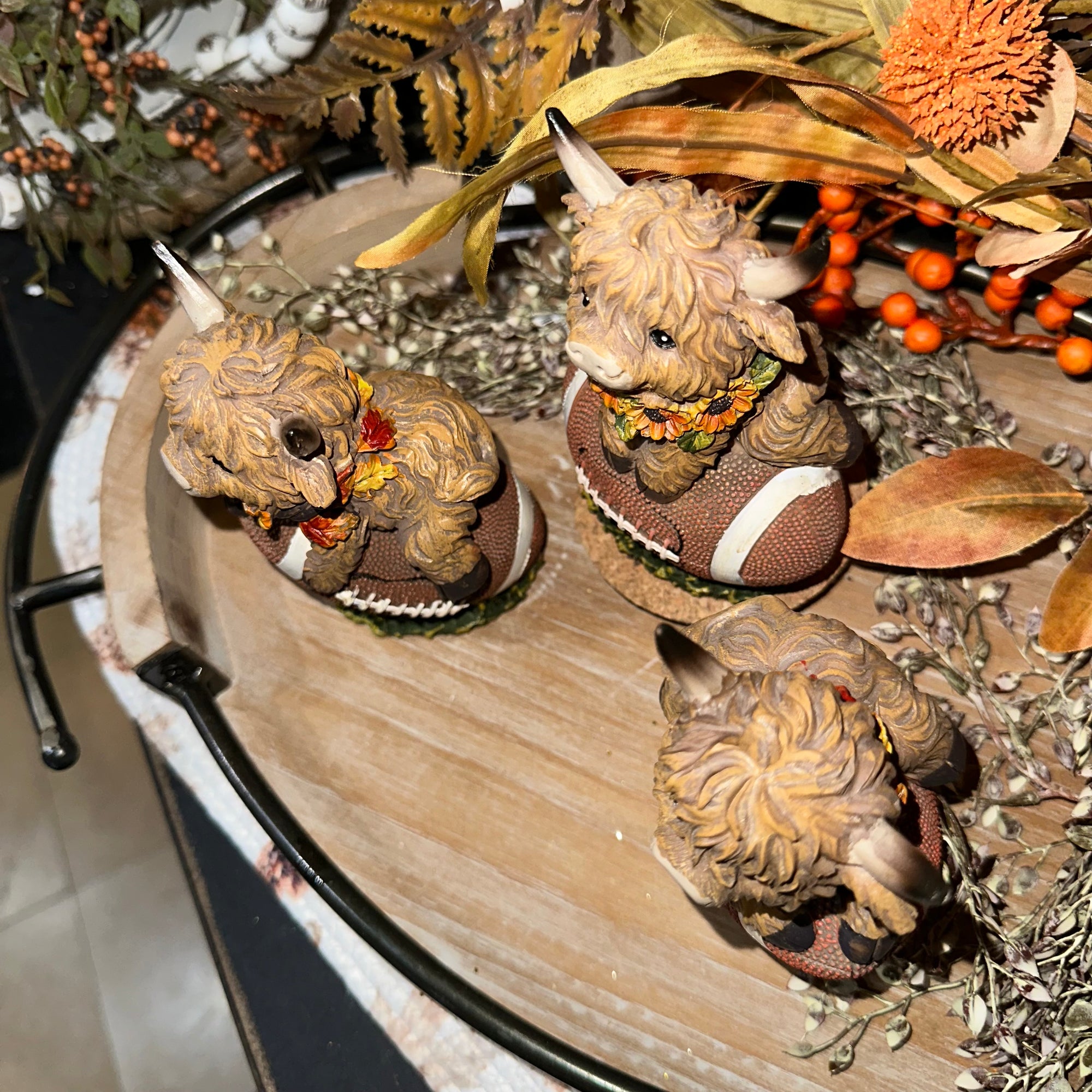 Harvest Highland Cow on Football