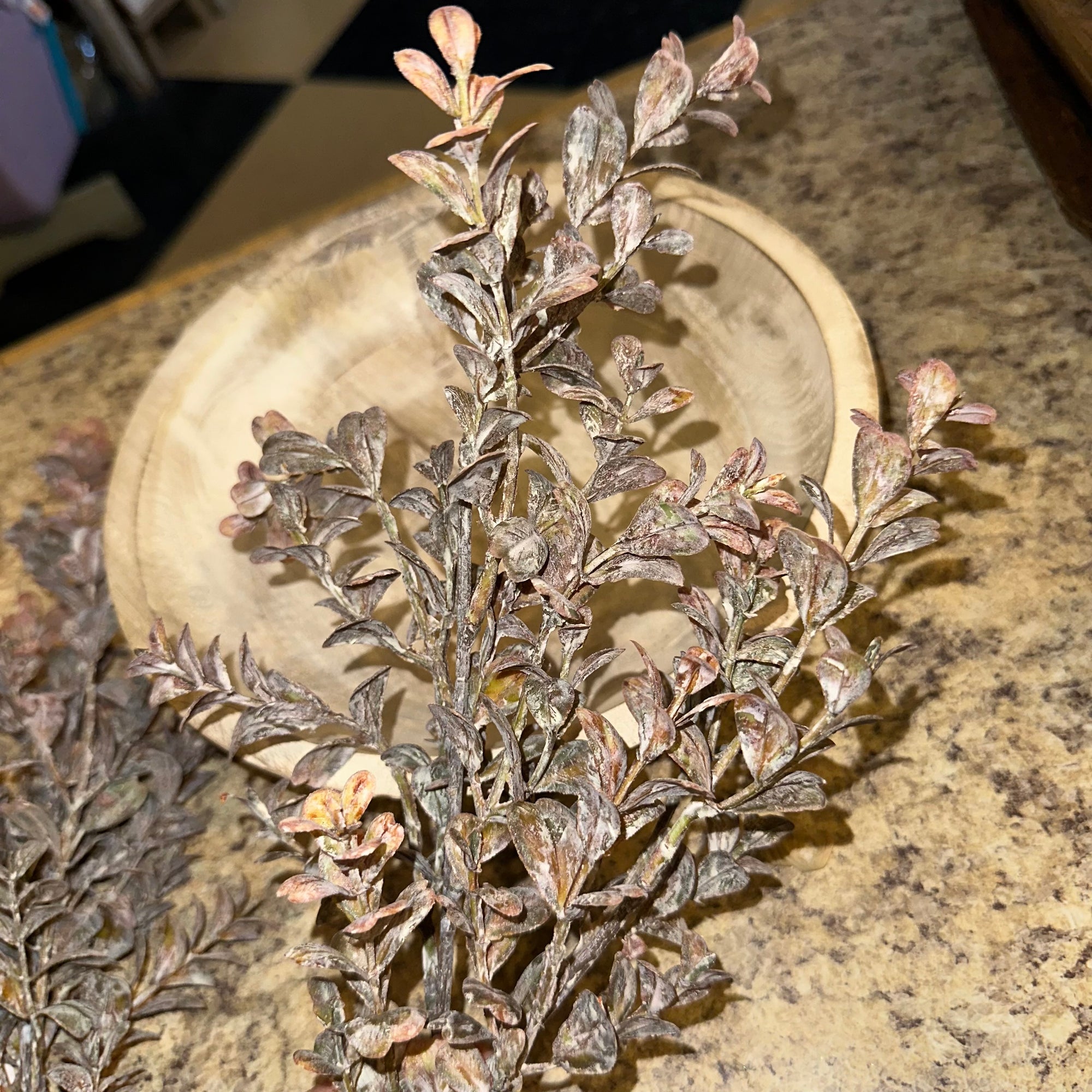 Autumn Leaves Branch