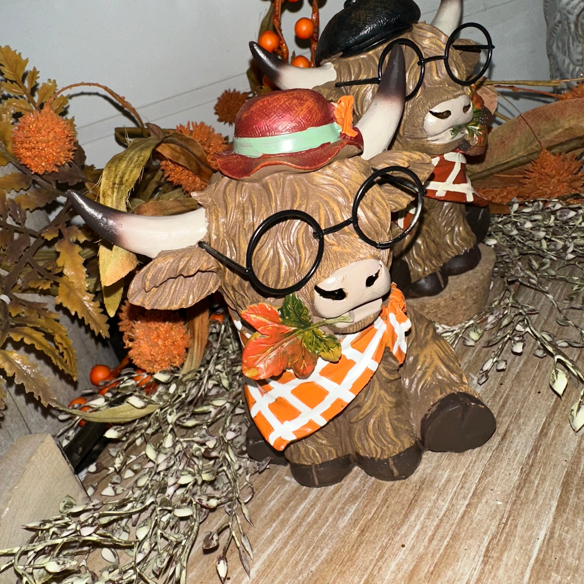 Harvest Highland Cow with Glasses