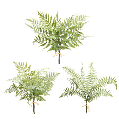 Fern Stem | 20"