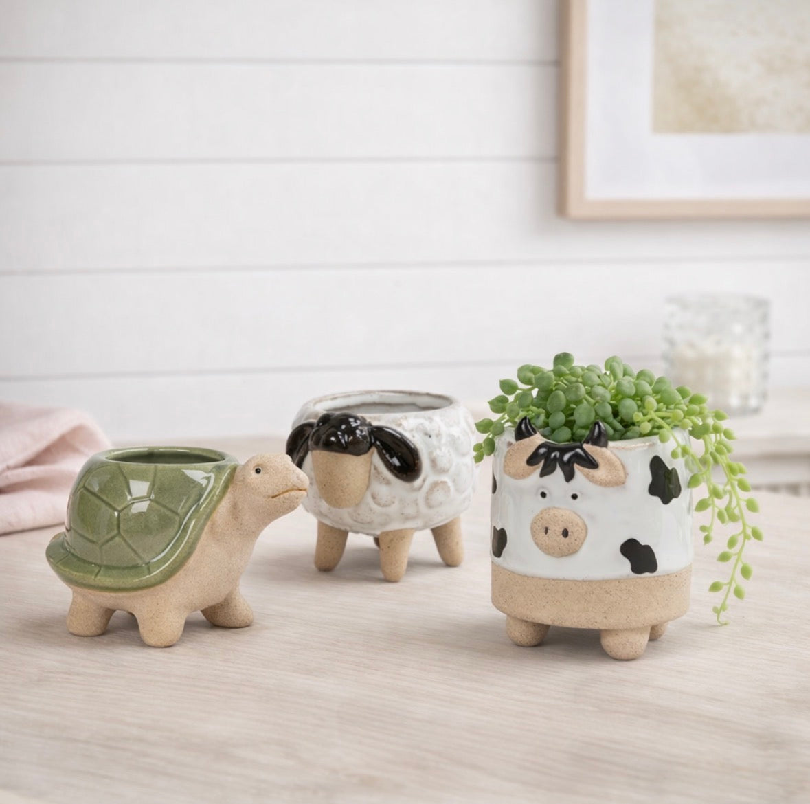 Animal Planter | Cow, Sheep, Turtle