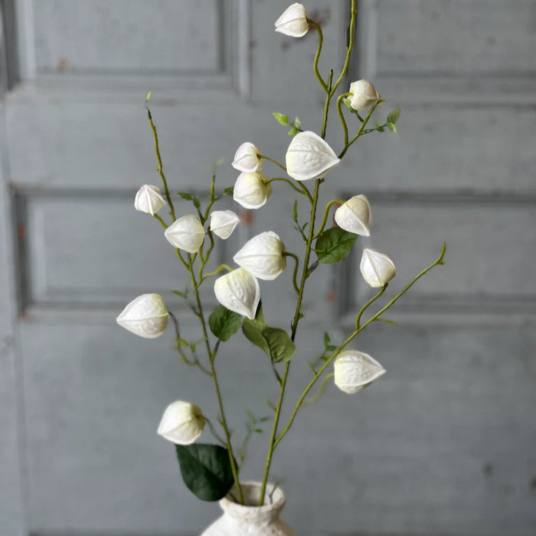 Graceful Lanterns | White