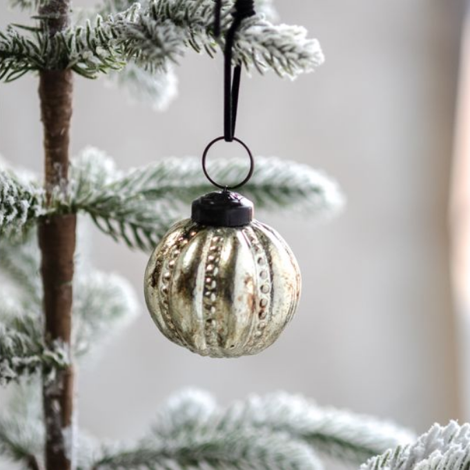 Mercury Glass Ornament | Silver