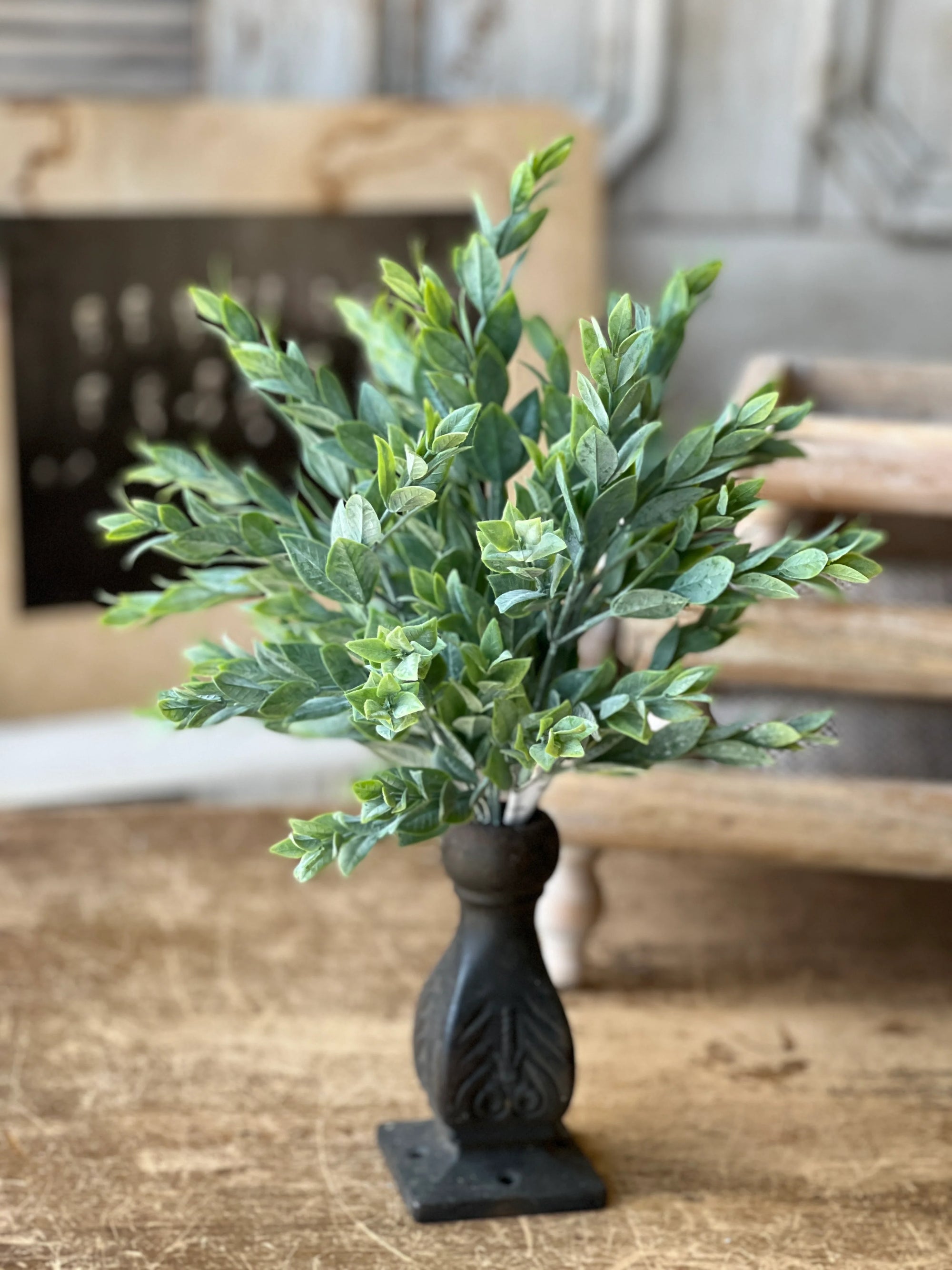 Rainwashed Bush | 14"