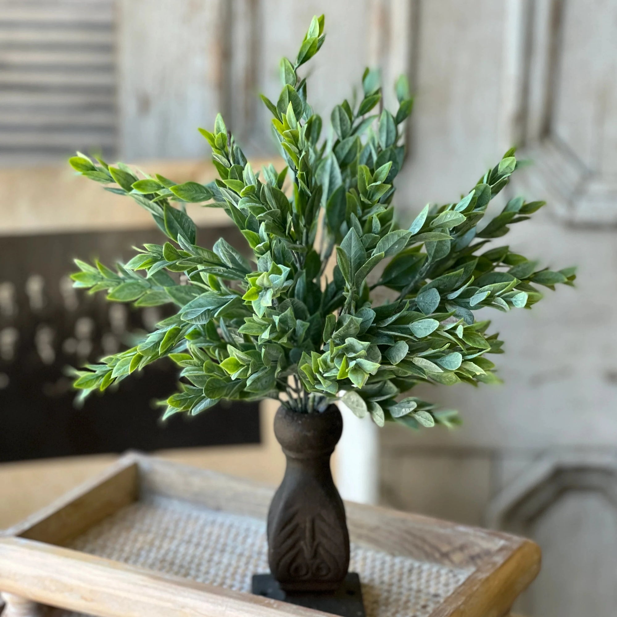 Rainwashed Bush | 14"