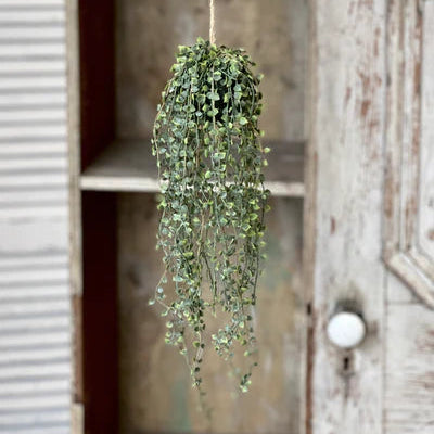 Rooted Heartstrings Vine Hanging Orb | 17"