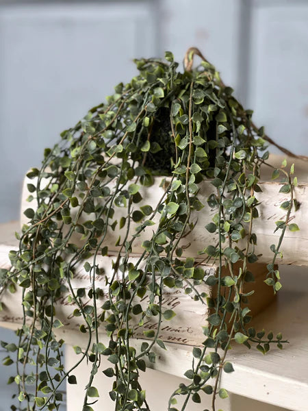 Rooted Heartstrings Vine Hanging Orb | 17"