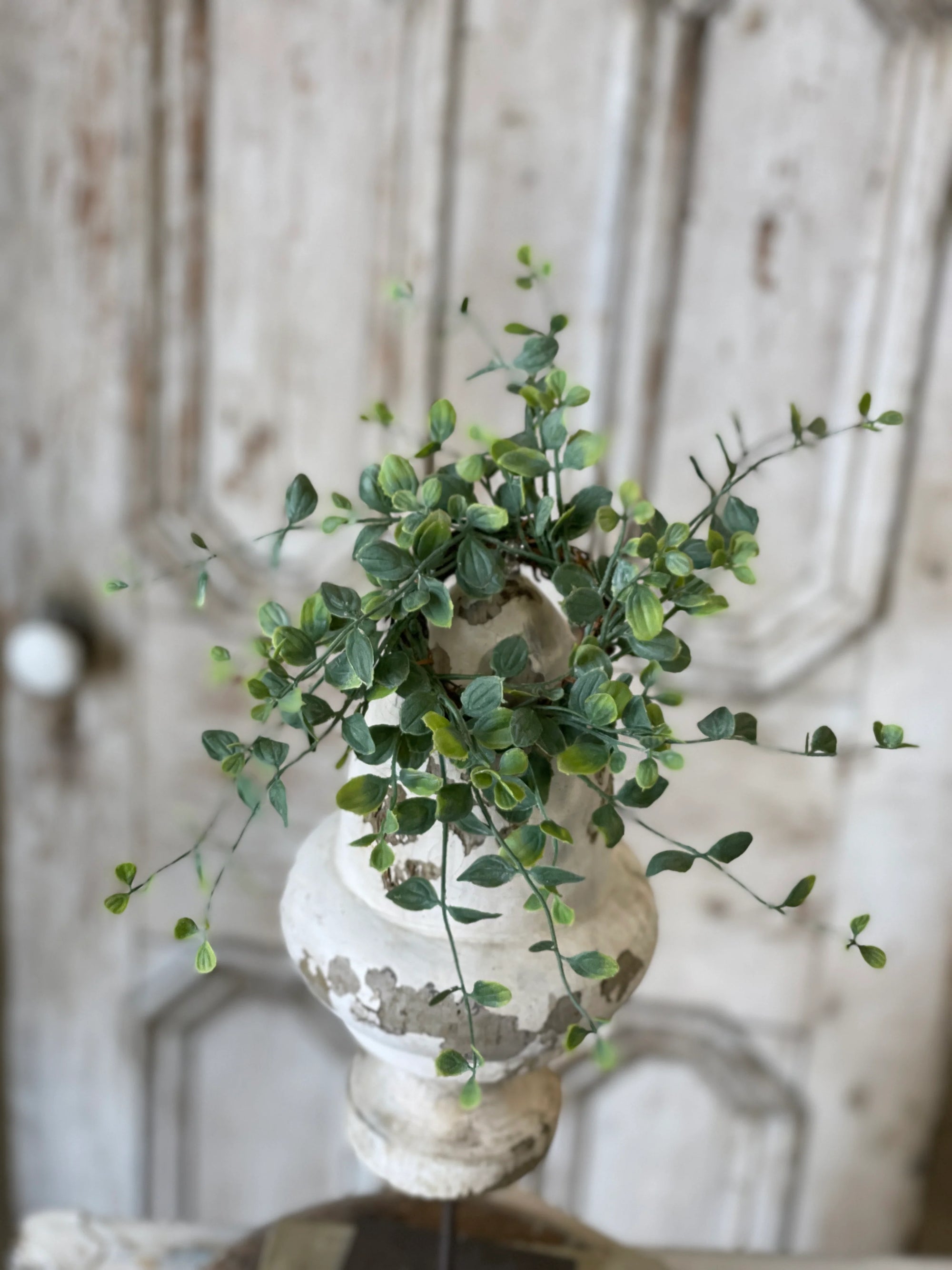 Sophia Candle Ring | 6"