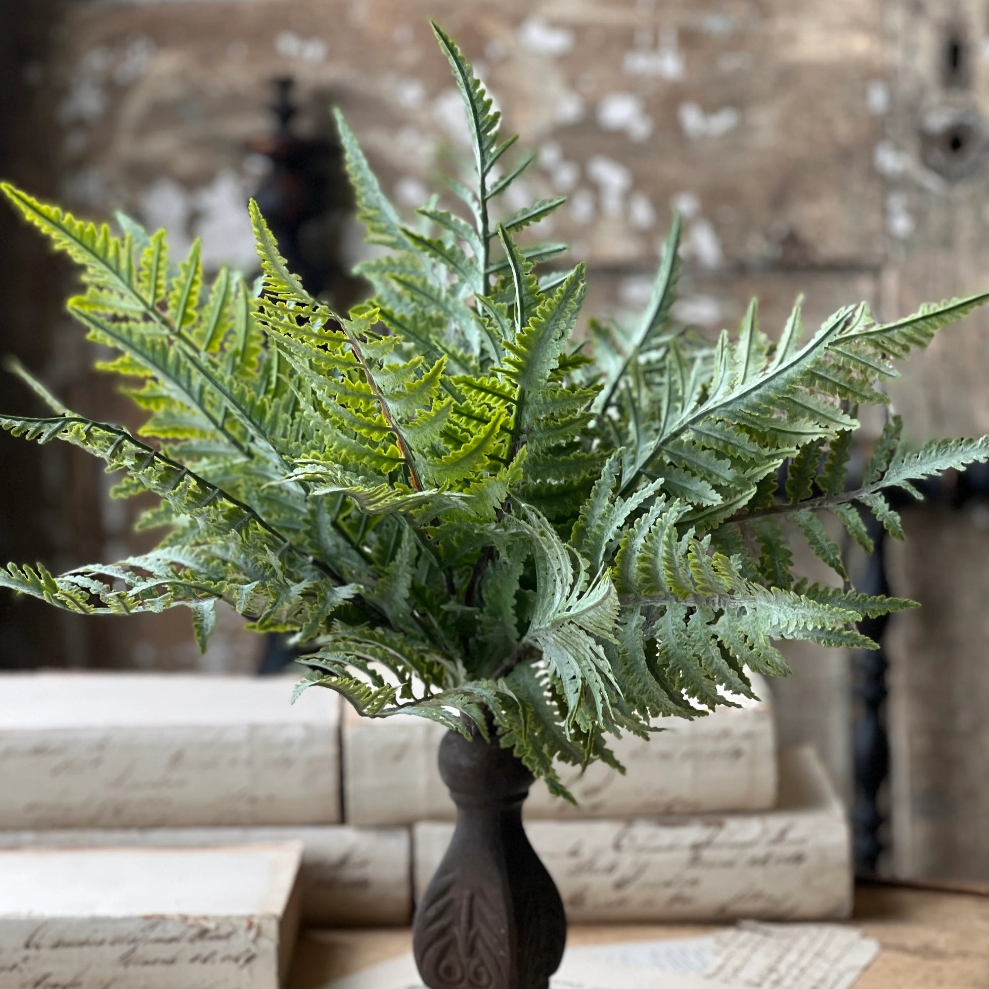 Boston Fern Bush | Soft Touch