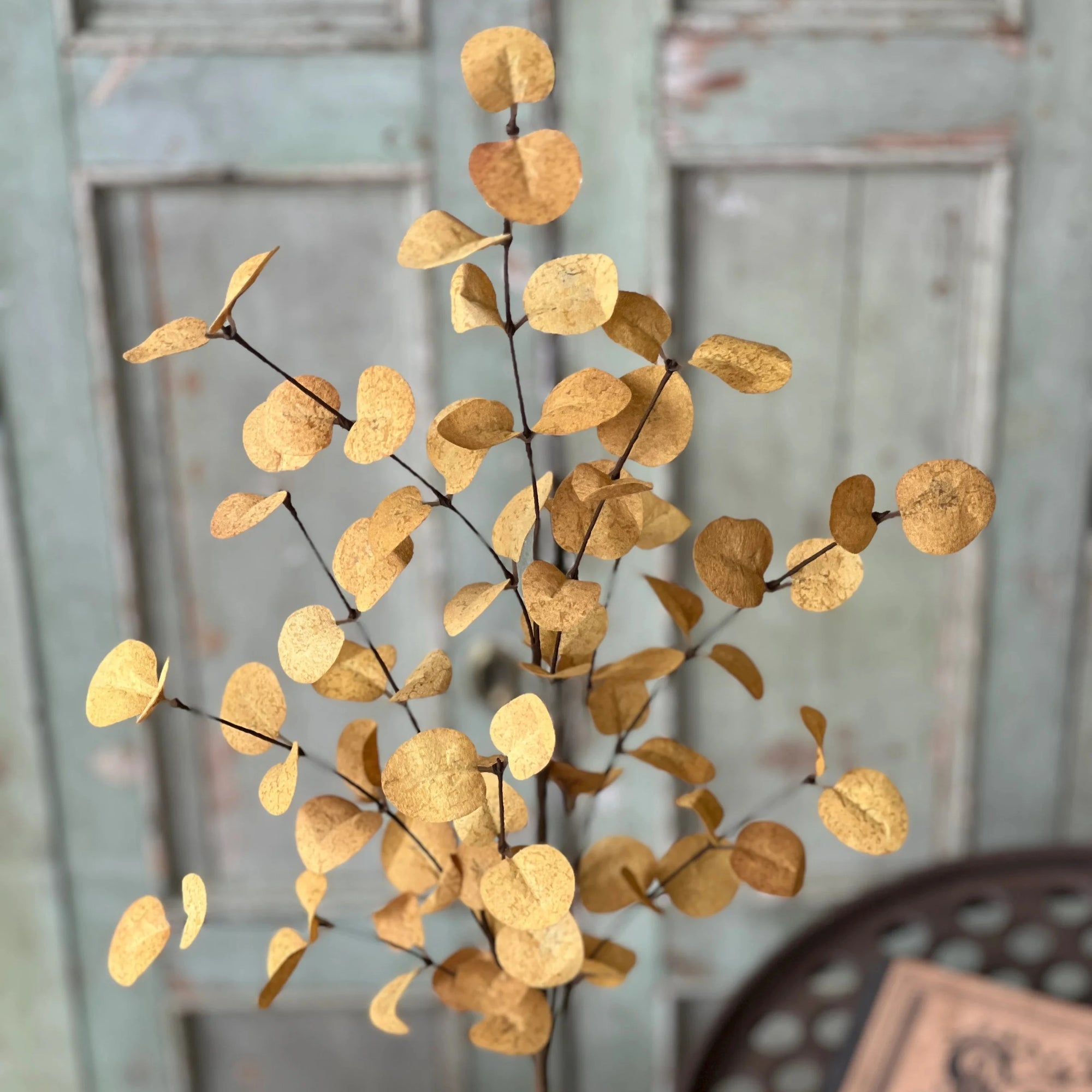 Harvest Eucalyptus Penny Leaf Stem | Mustard