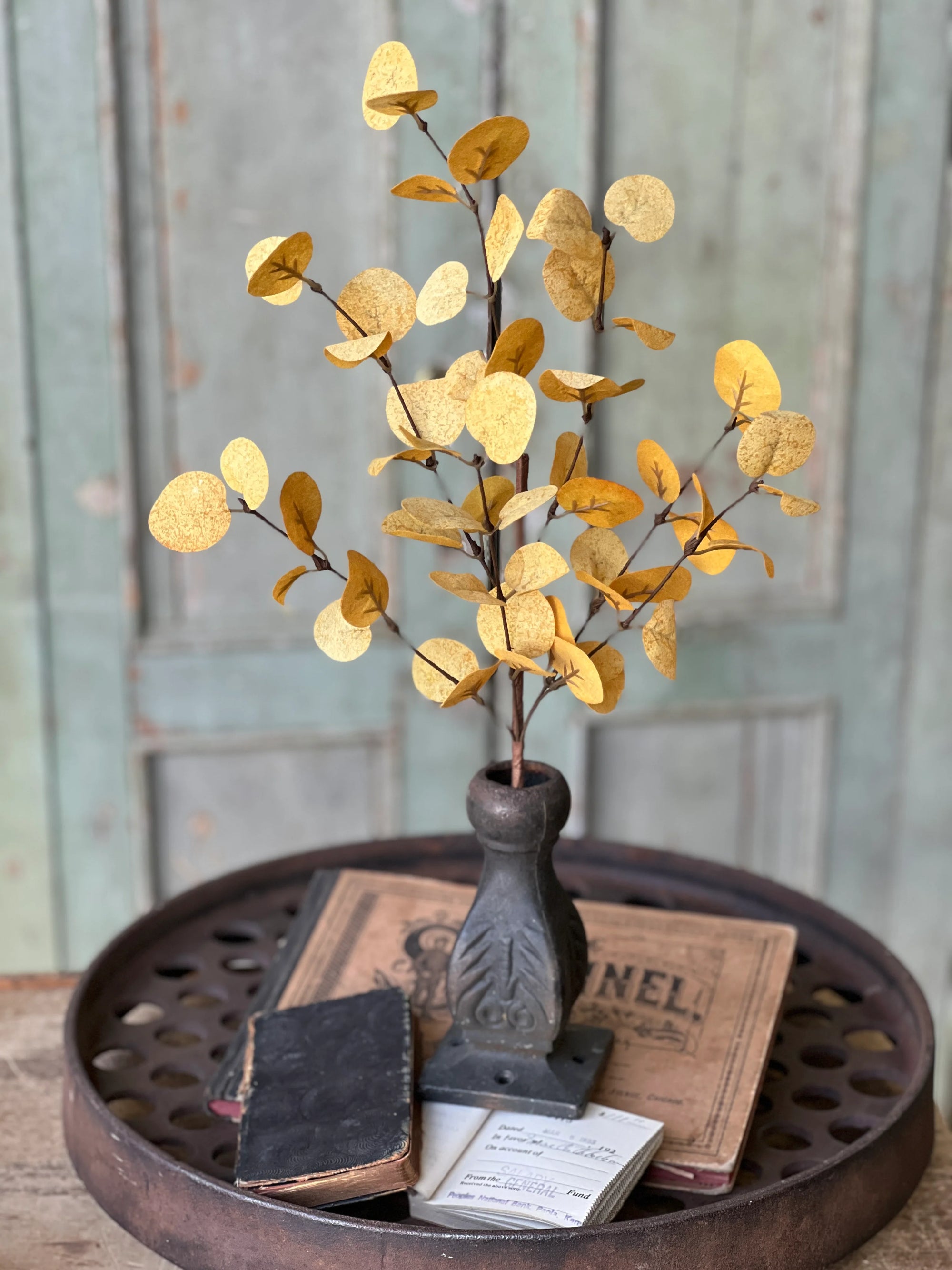 Harvest Eucalyptus Penny Leaf Stem | Mustard
