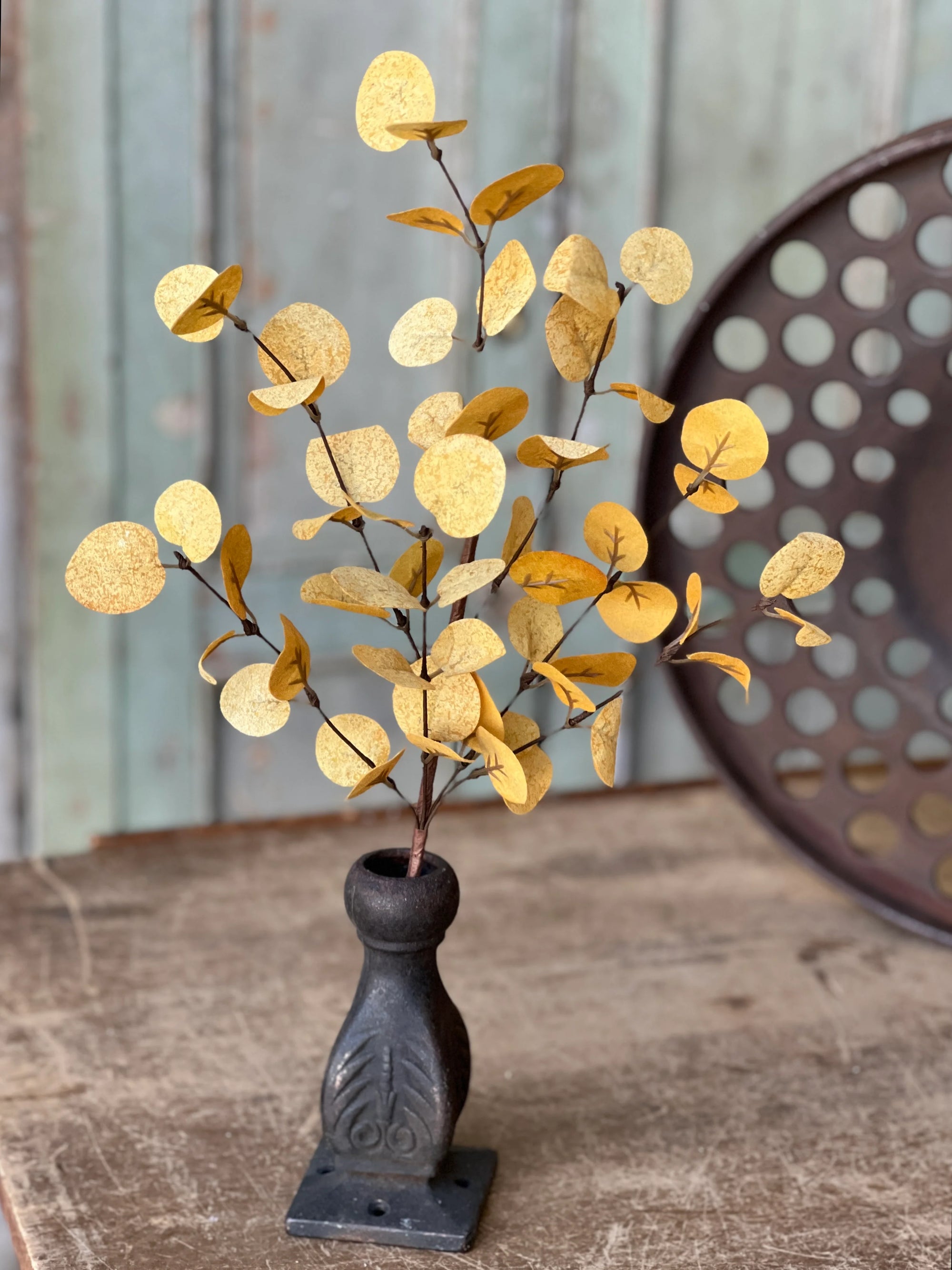 Harvest Eucalyptus Penny Leaf Stem | Mustard