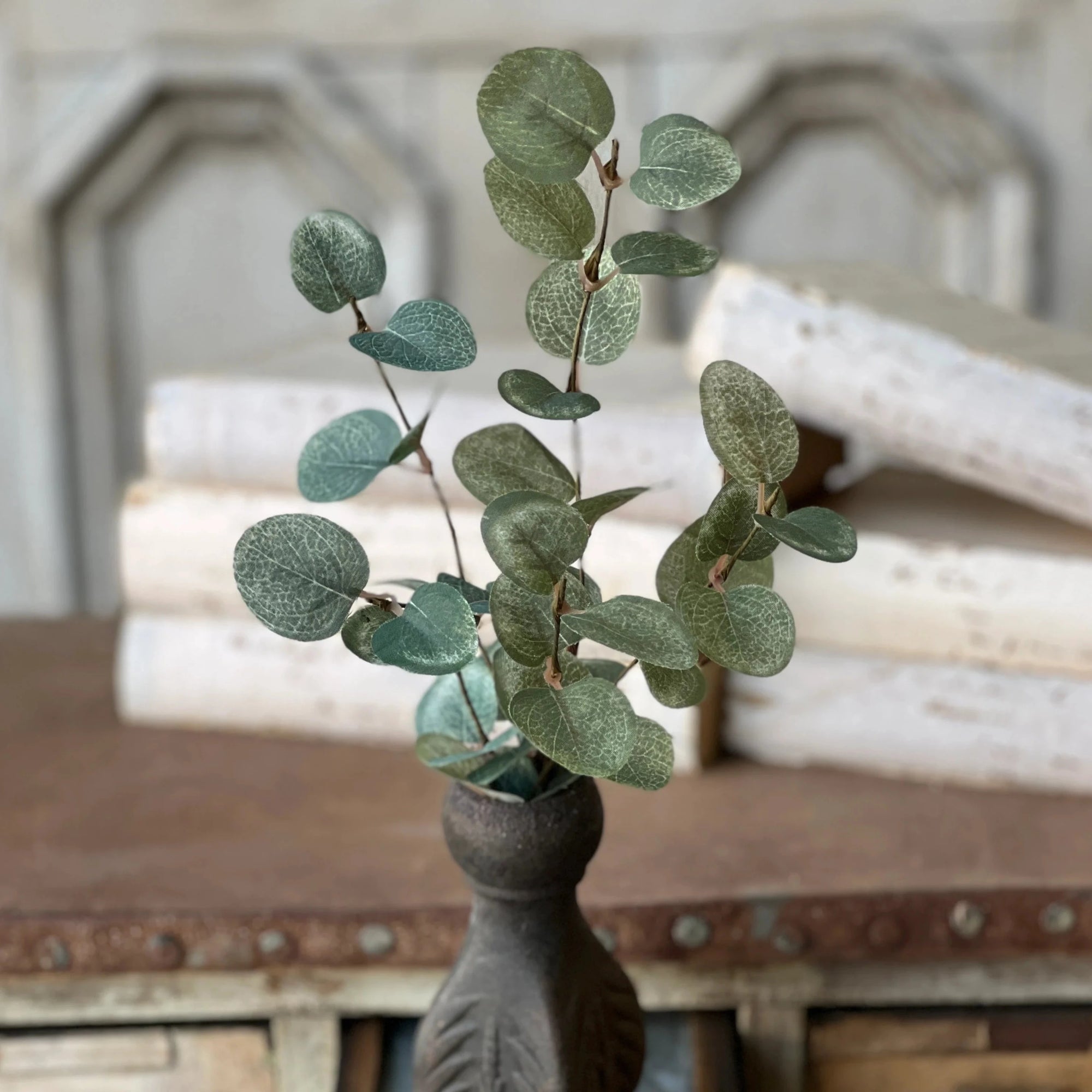 Garden Eucalyptus Stem | 14"