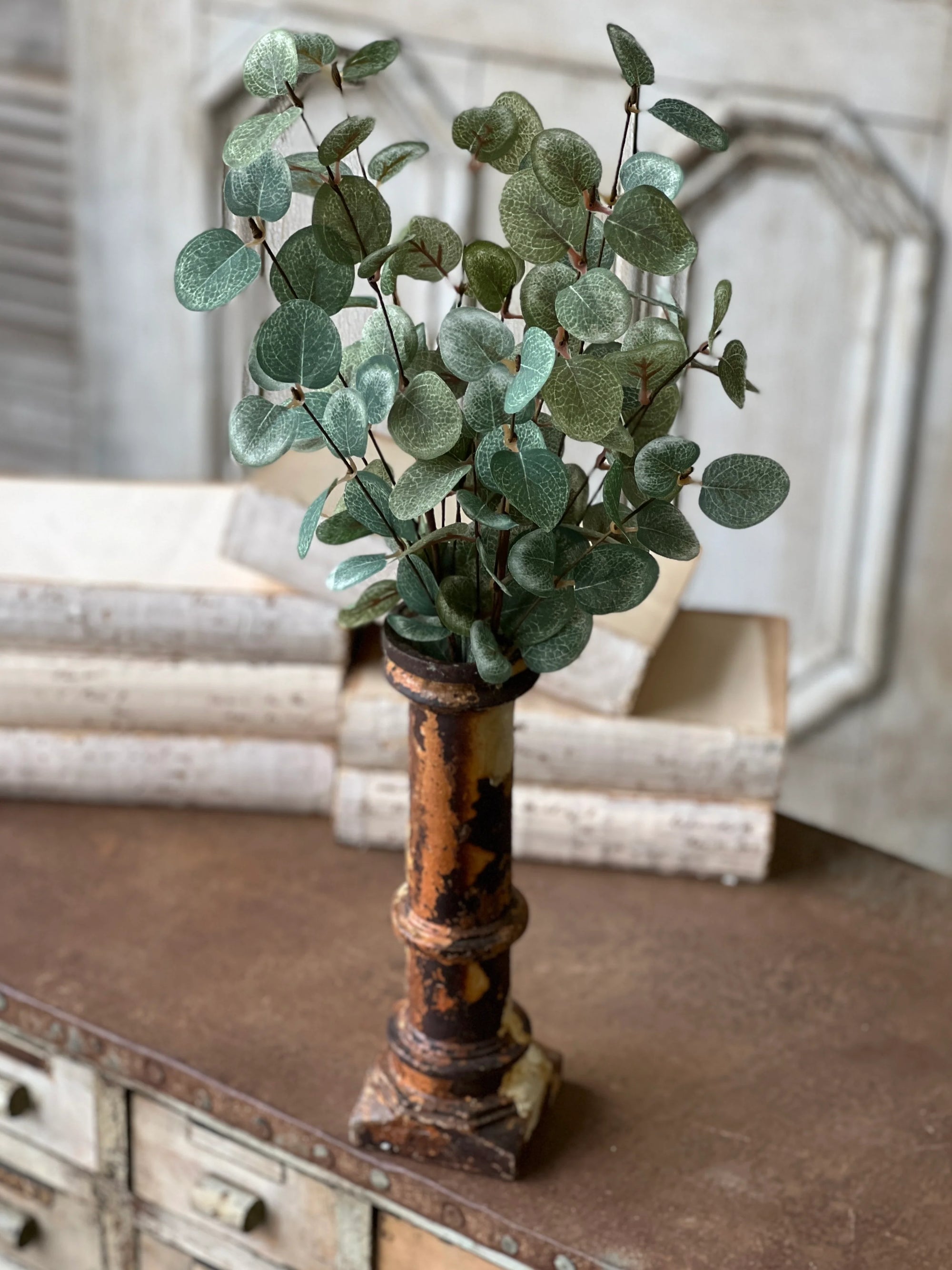 Garden Eucalyptus Candle Bush | 19"