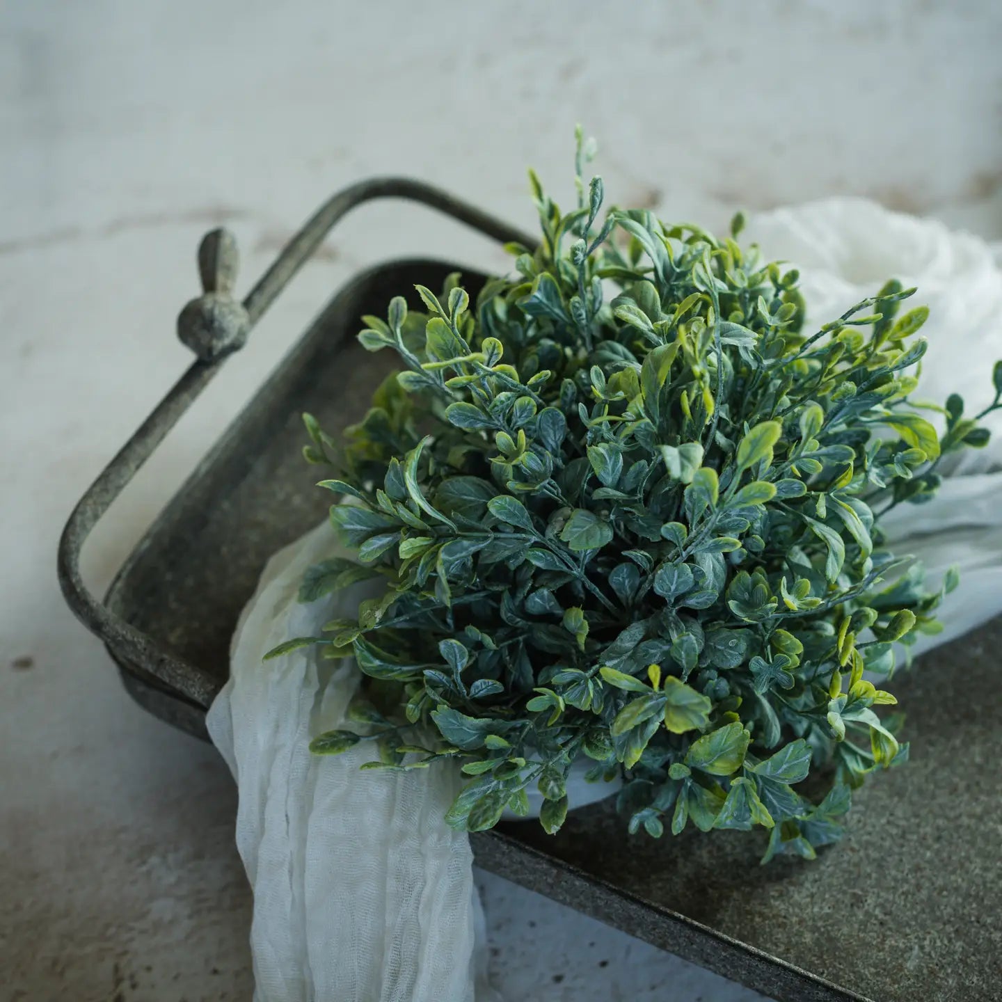 English Boxwood Half Sphere | 8"